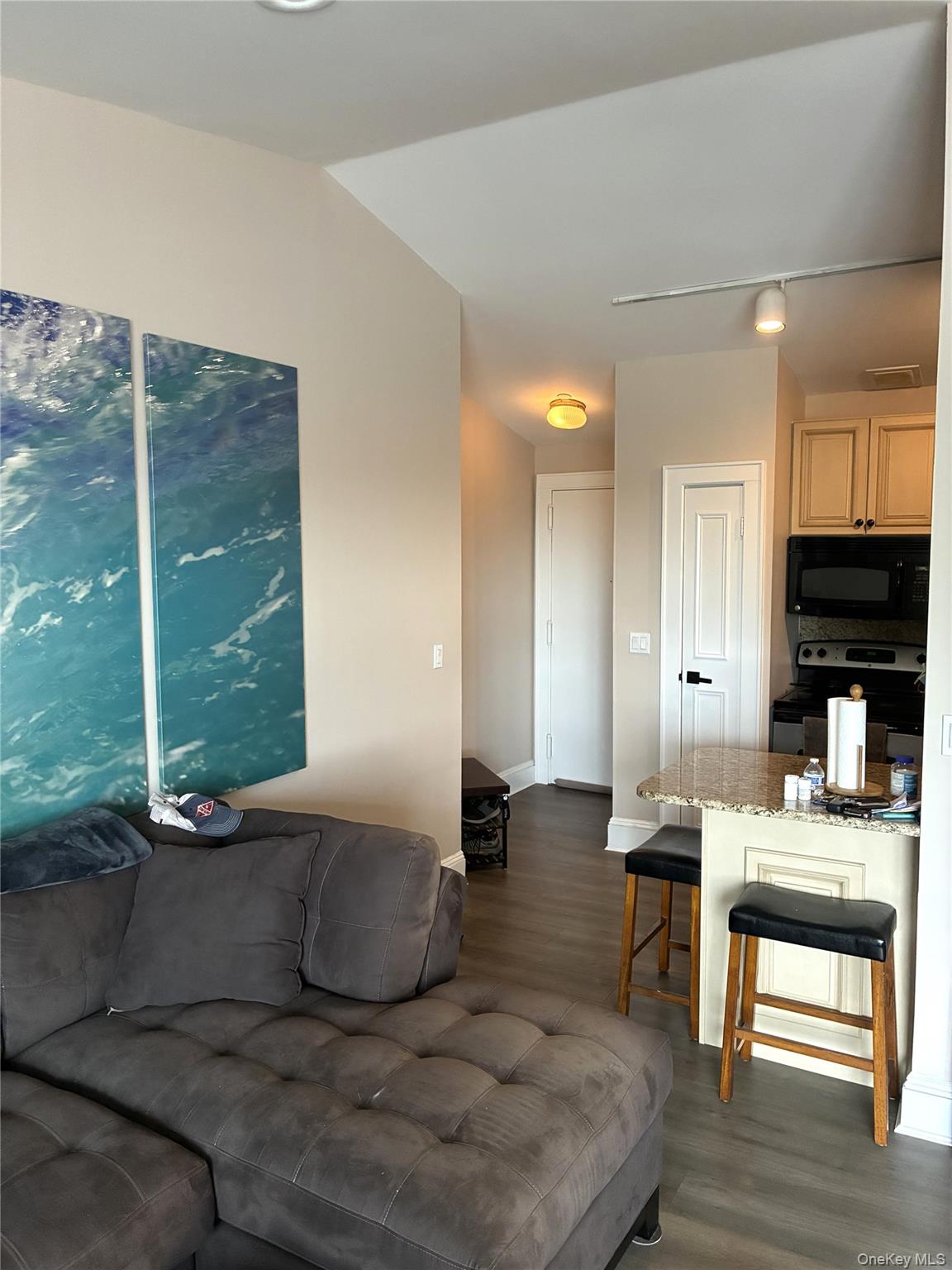 185 W Park Avenue, Unit 200 photo 3
