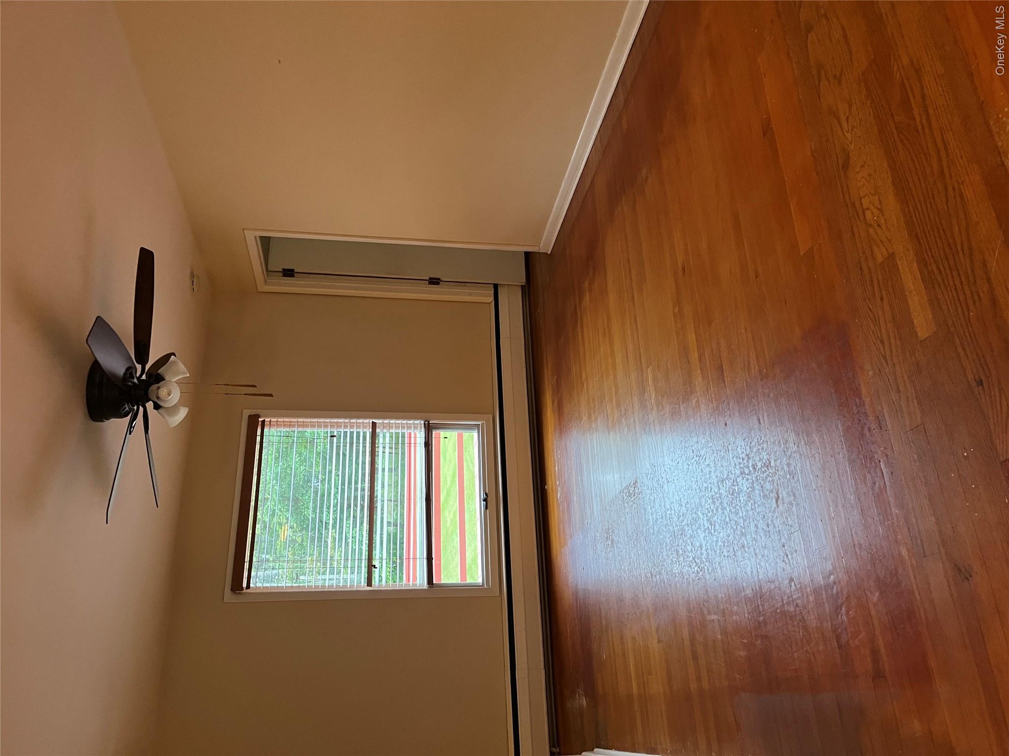 85 Daniele – For Sale photo 5