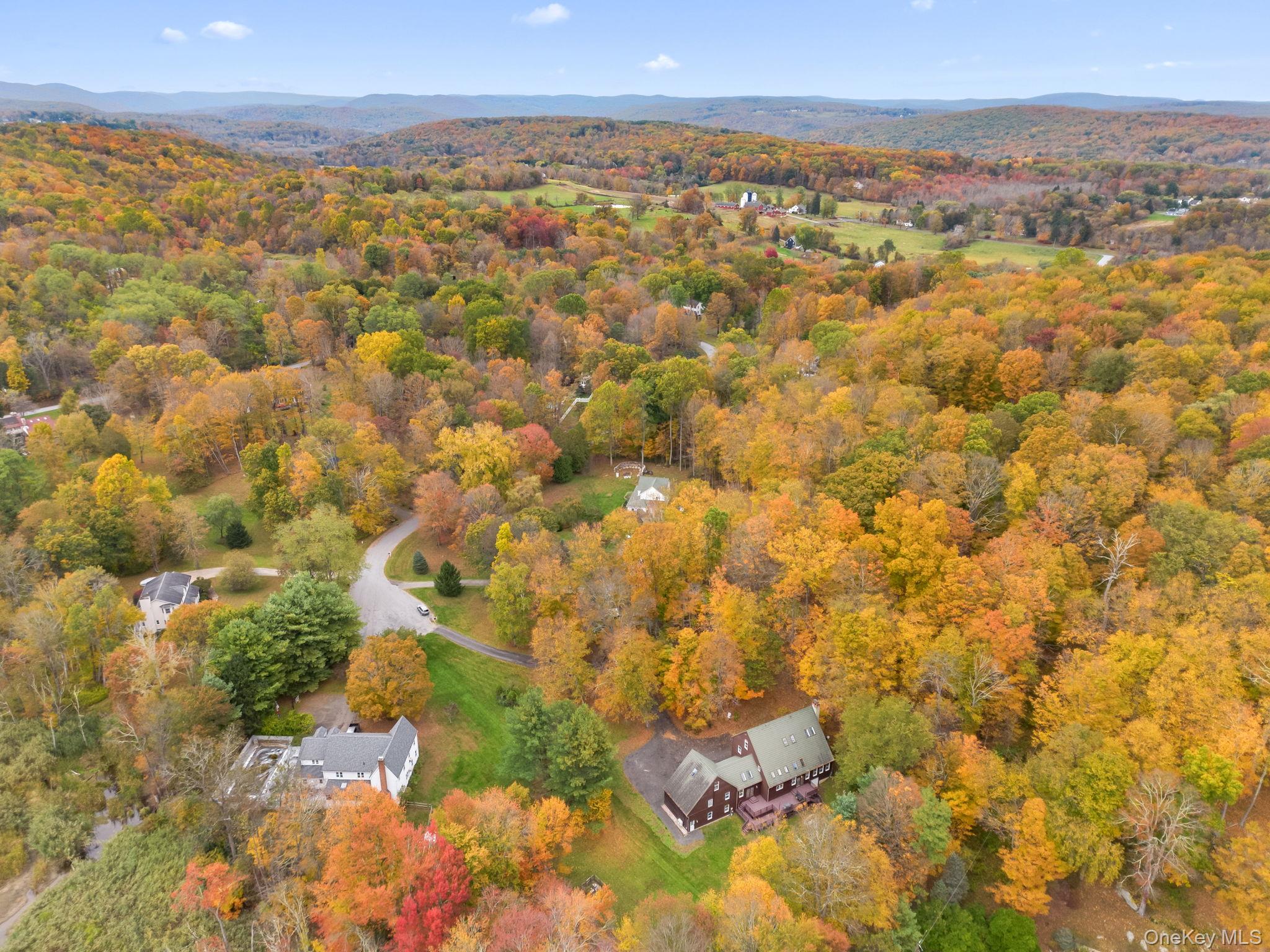 17 Curtis – For Sale photo 44