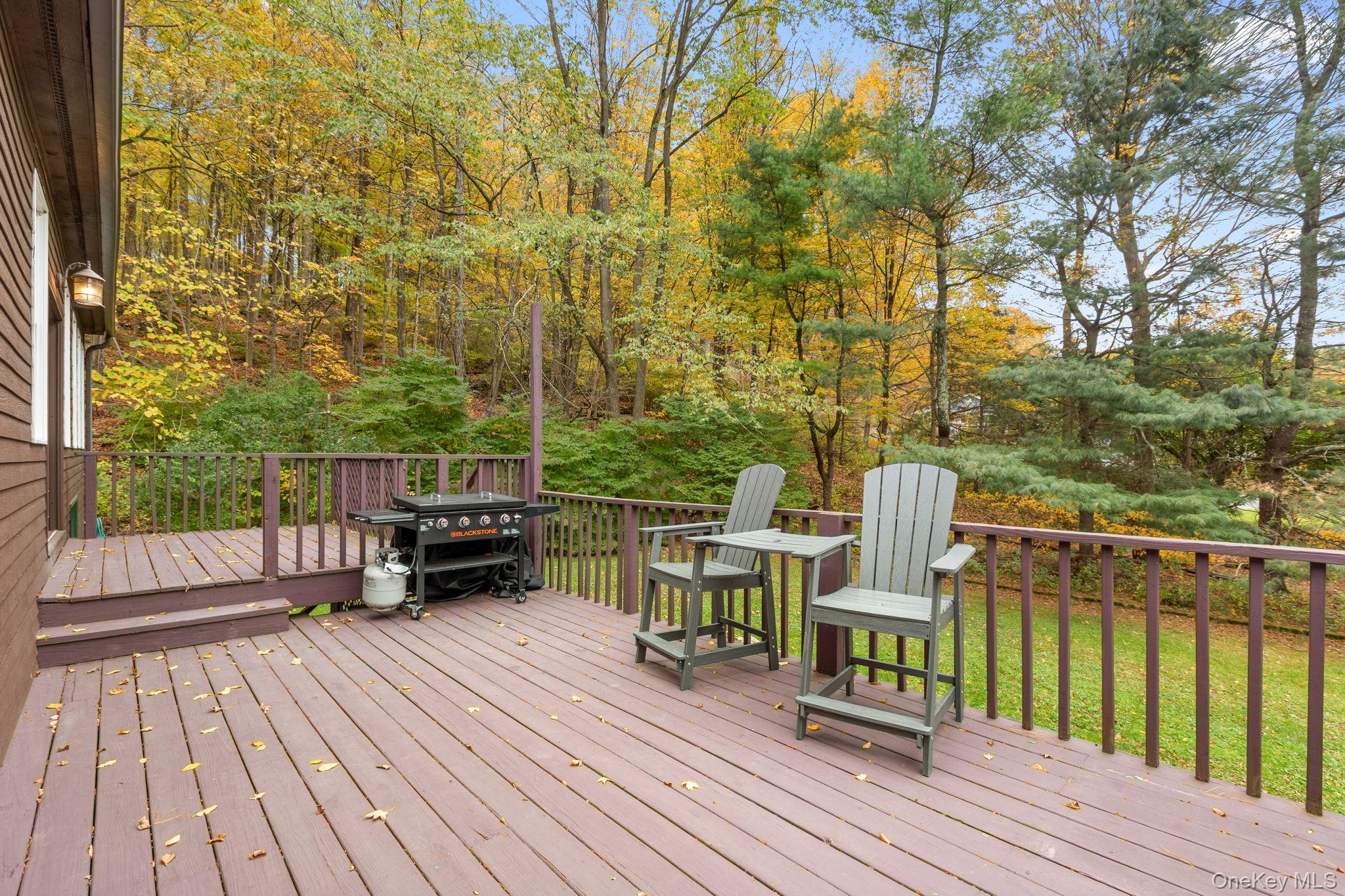 17 Curtis – For Sale photo 46