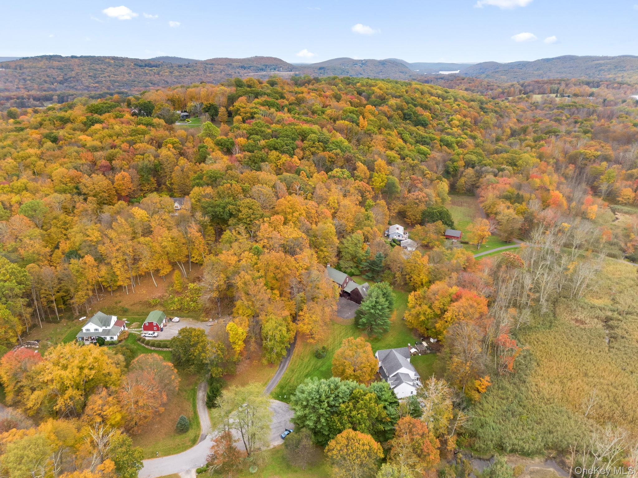 17 Curtis – For Sale photo 4