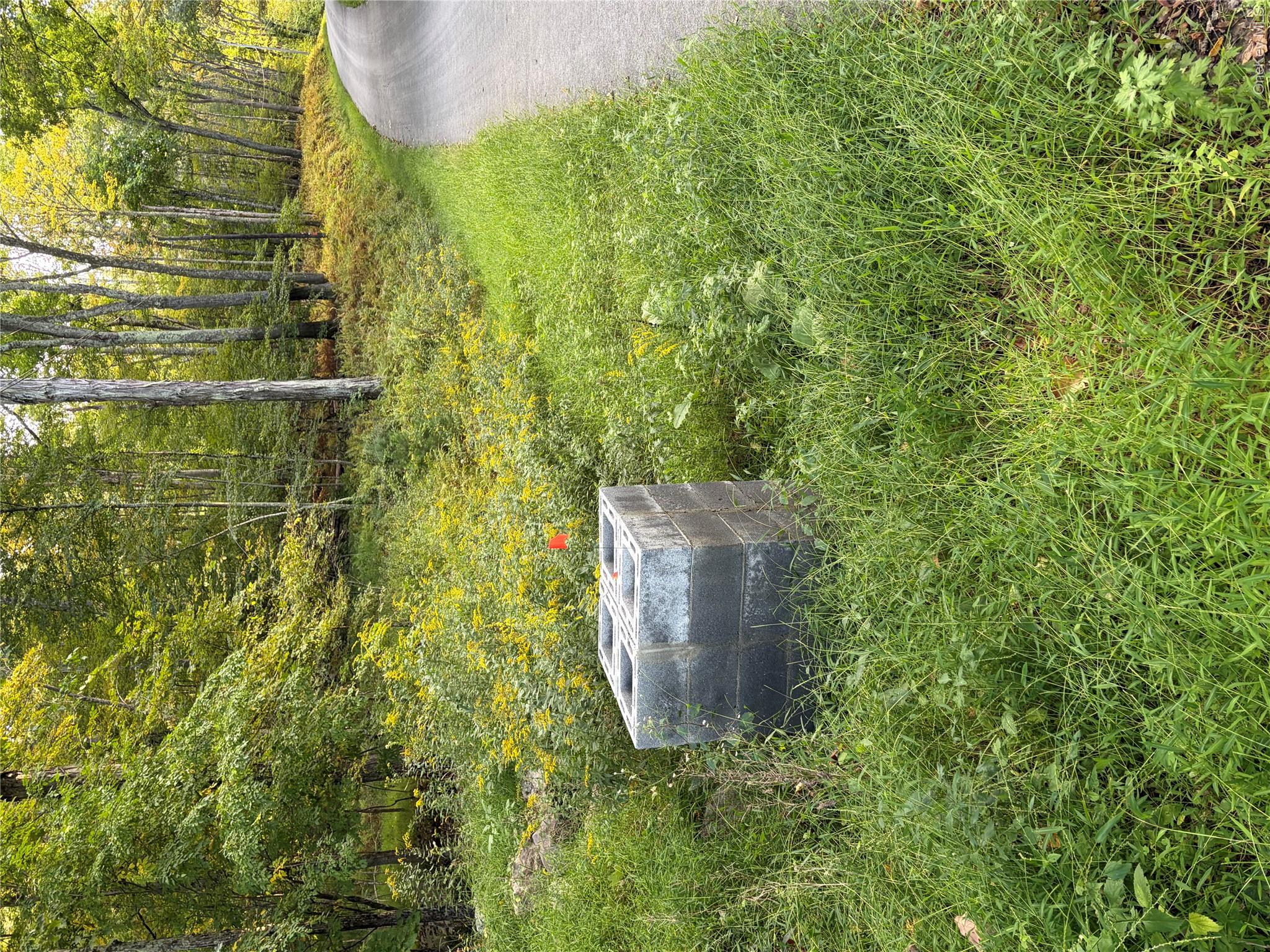 South Road – For Sale photo 5