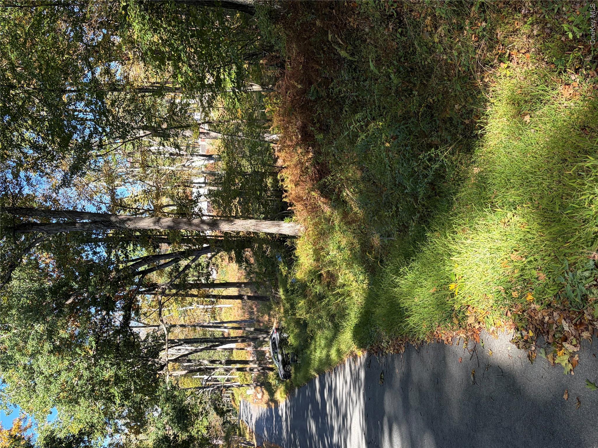 South Road – For Sale photo 11