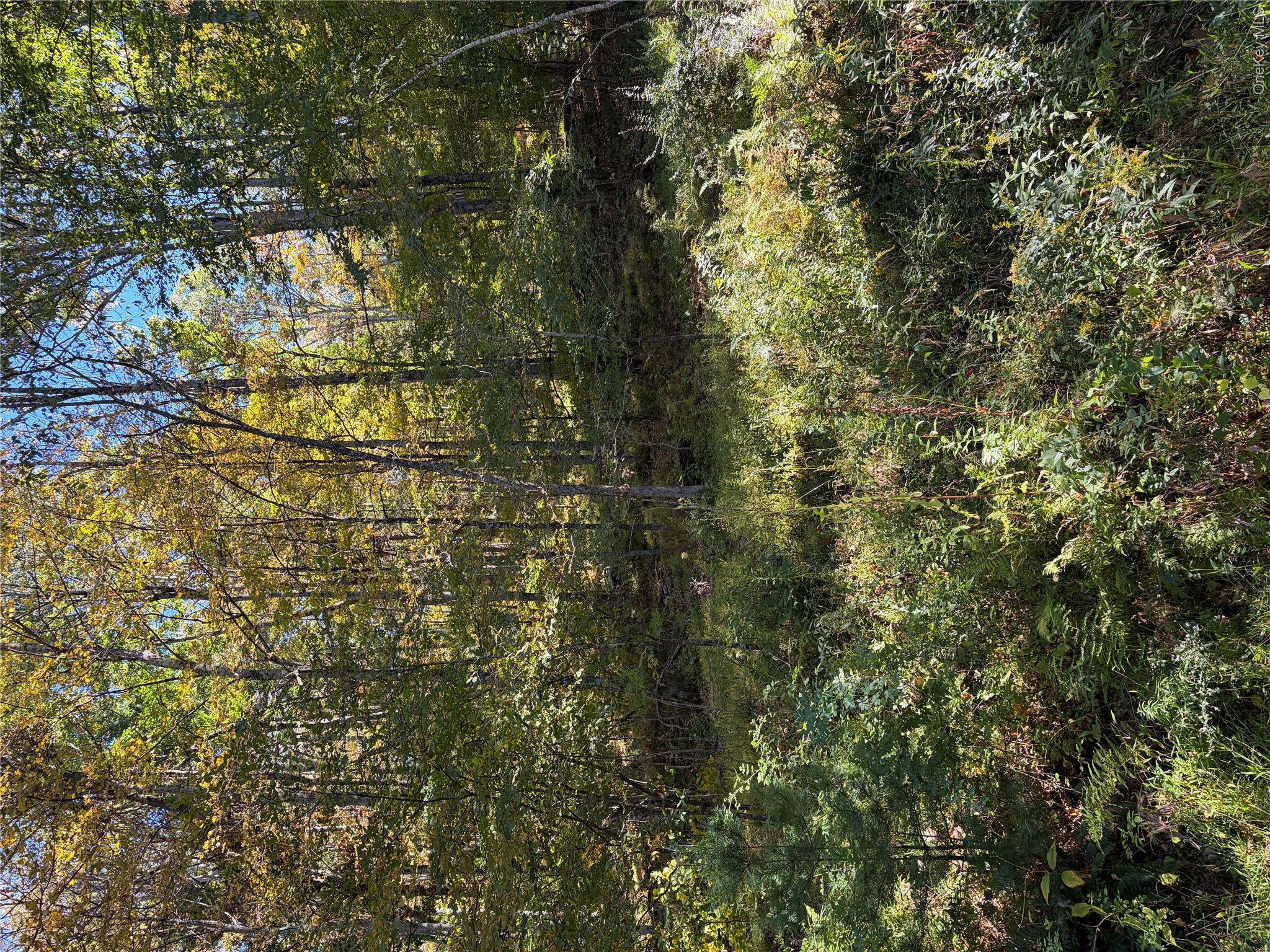 South Road – For Sale photo 2