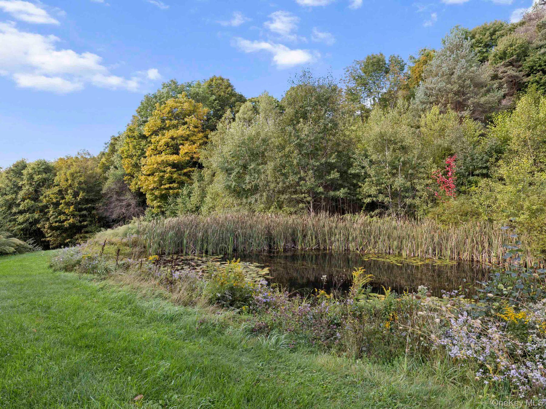 495 William Beers Road – For Sale photo 31