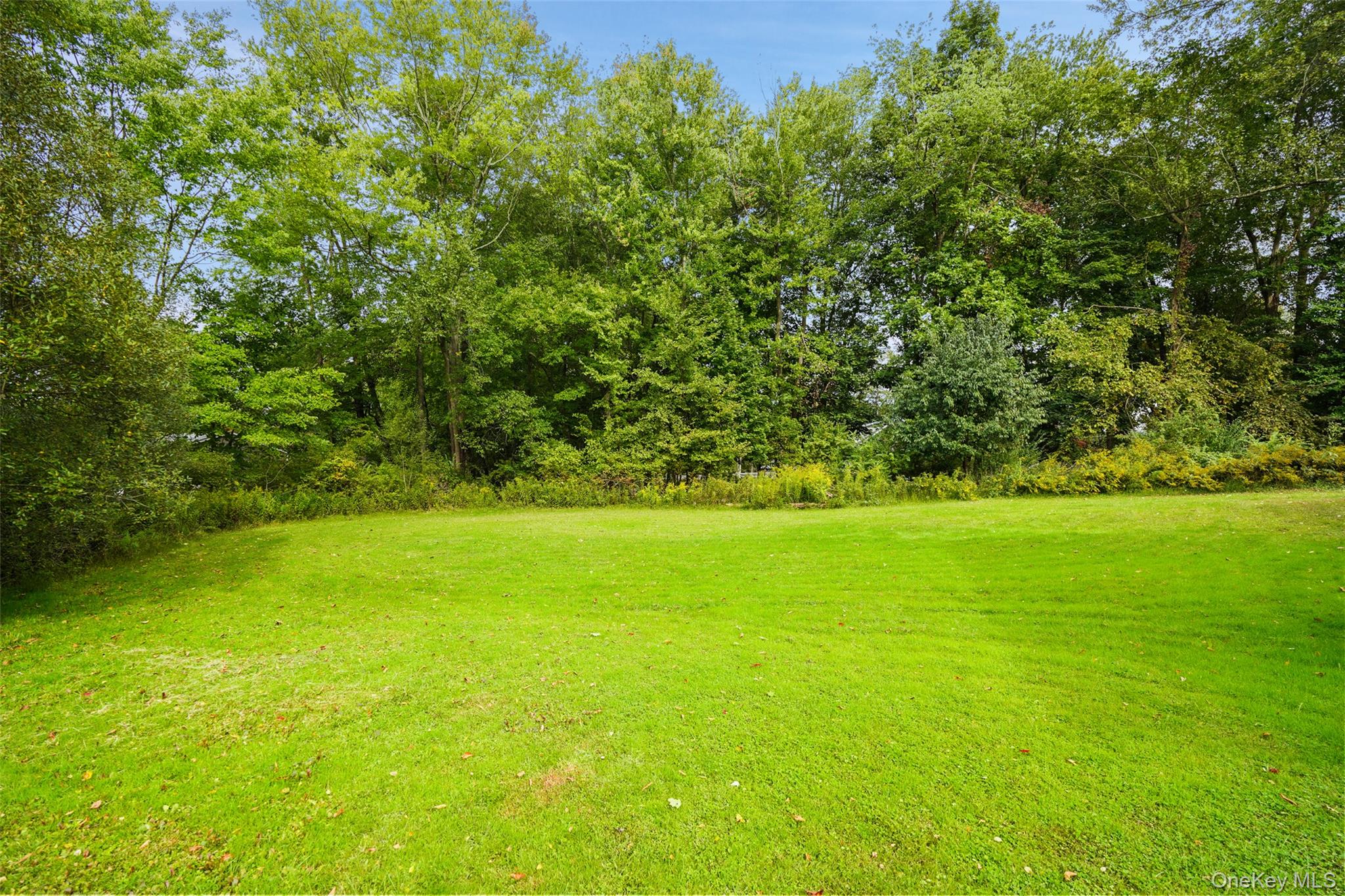 420 Alden Road – For Sale photo 2