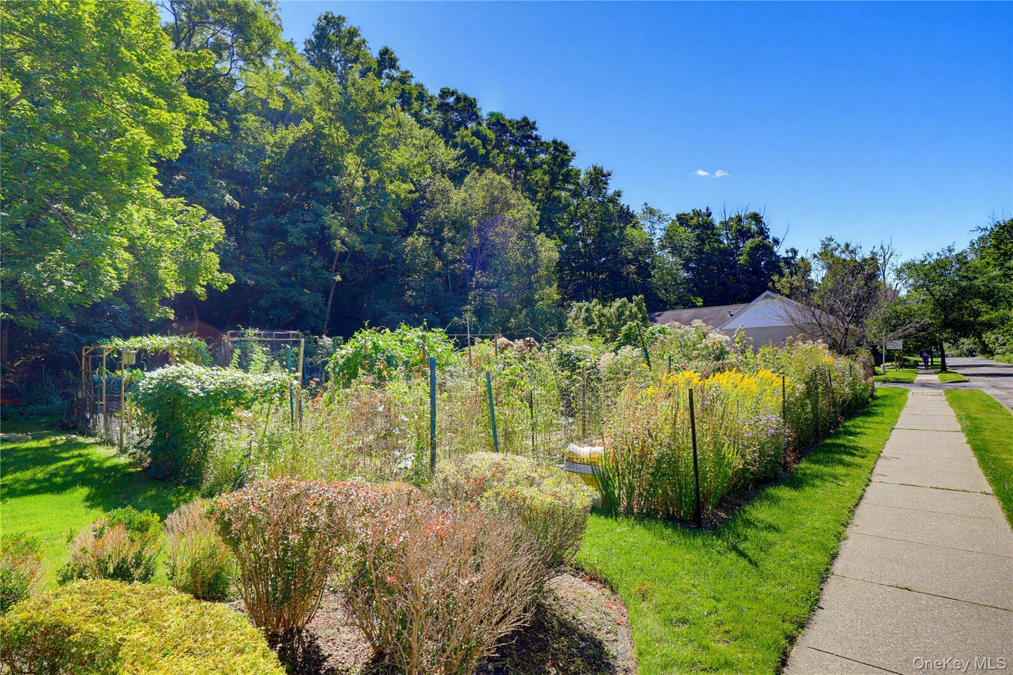 331 N Greeley Avenue – For Sale photo 34