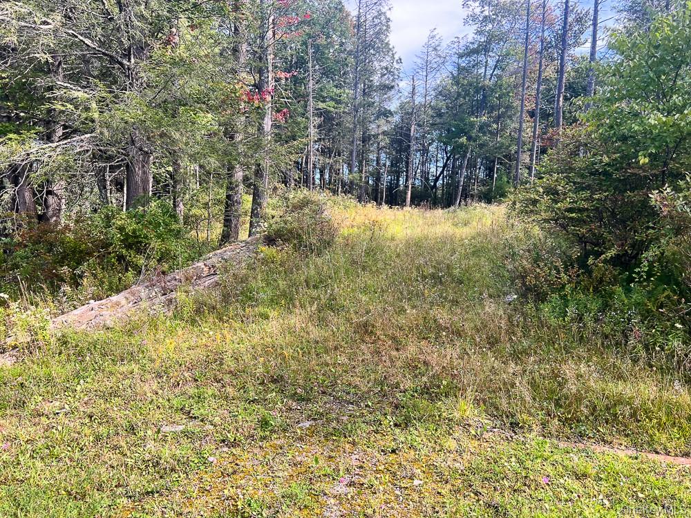 Seeman Road – For Sale photo 12