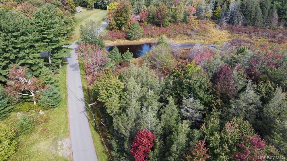 Seeman Road – For Sale photo 9