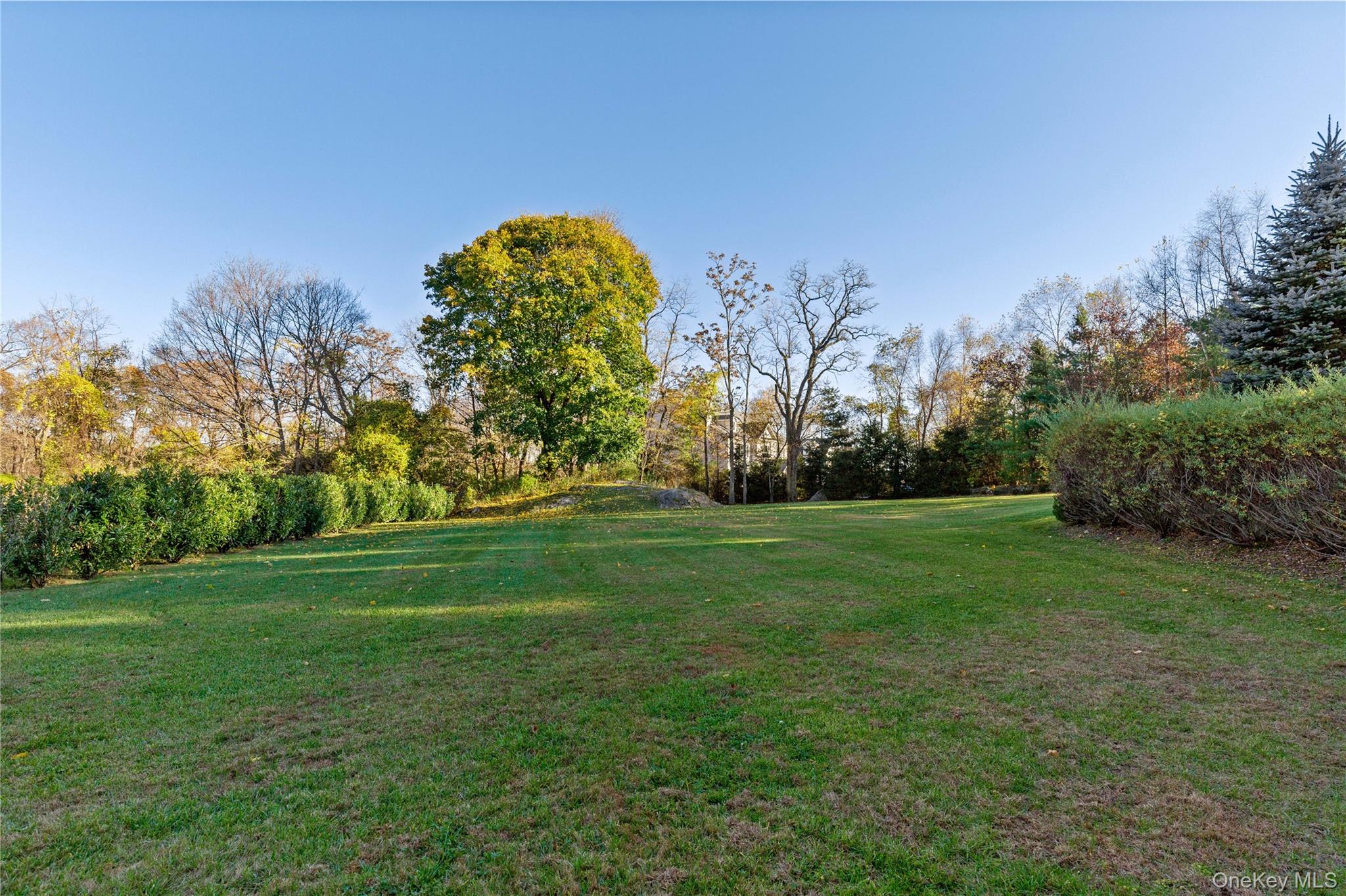 15 Knightsbridge Manor Road – For Sale photo 40