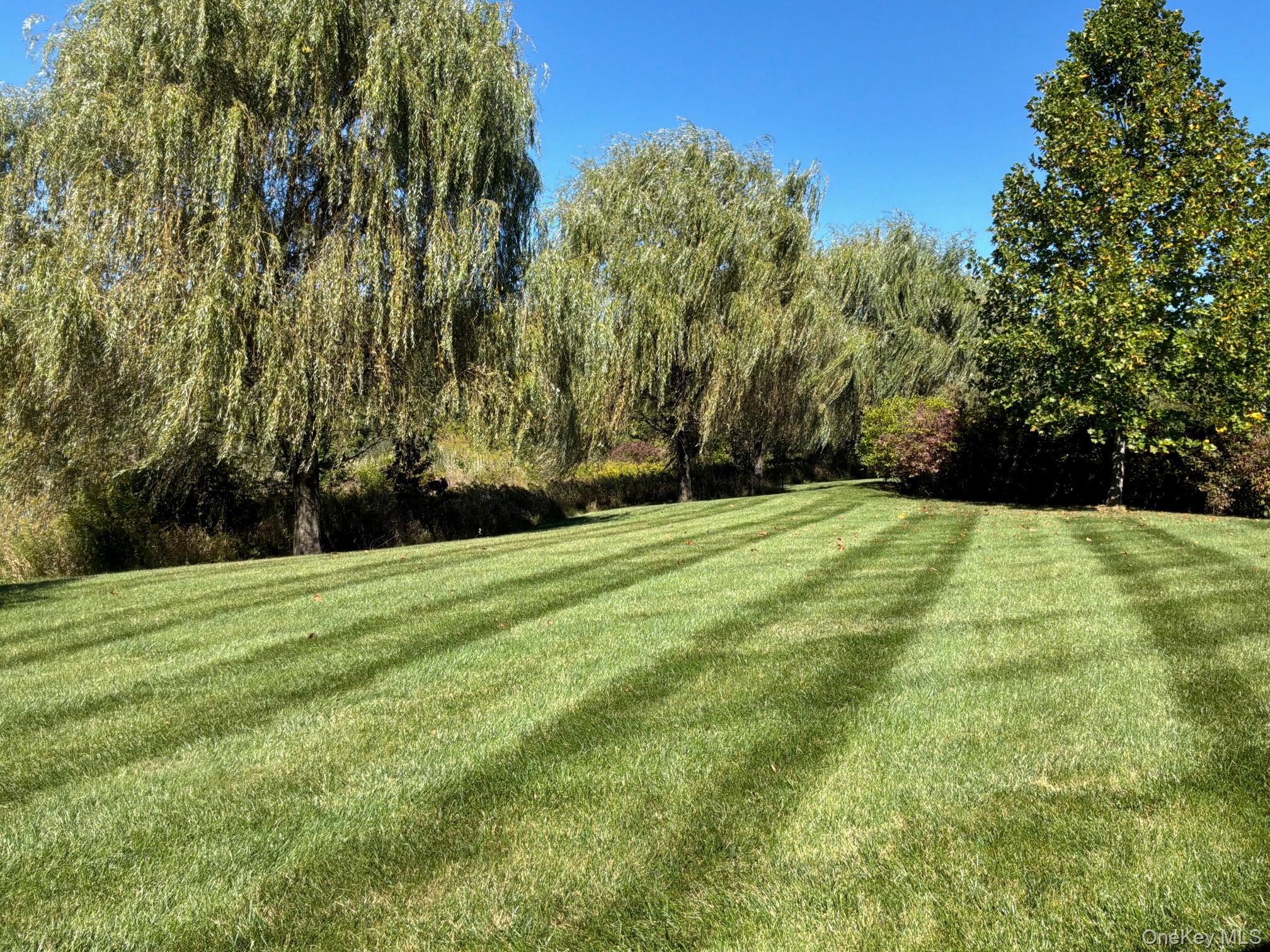 365 Ivy Trail – For Sale photo 4