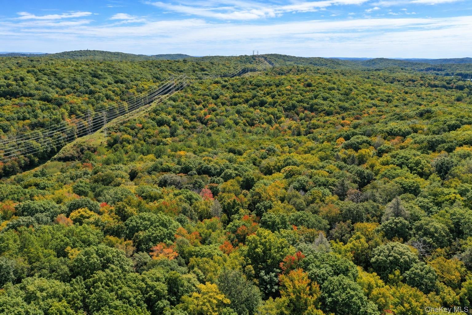 0 Richardsville Road – For Sale photo 3