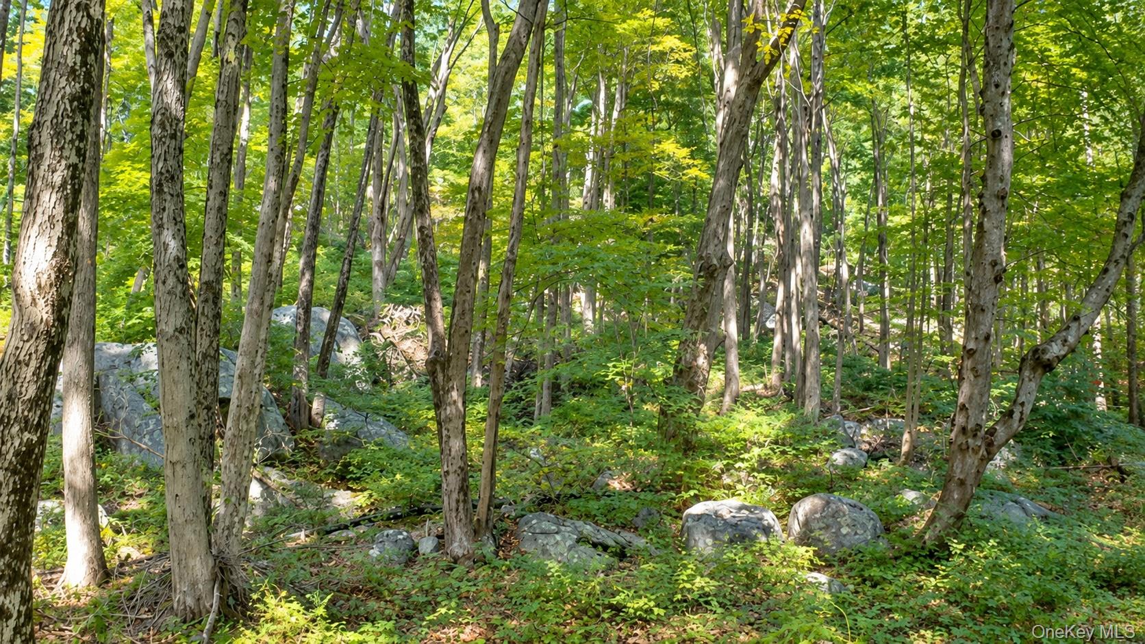 0 Richardsville Road – For Sale photo 6