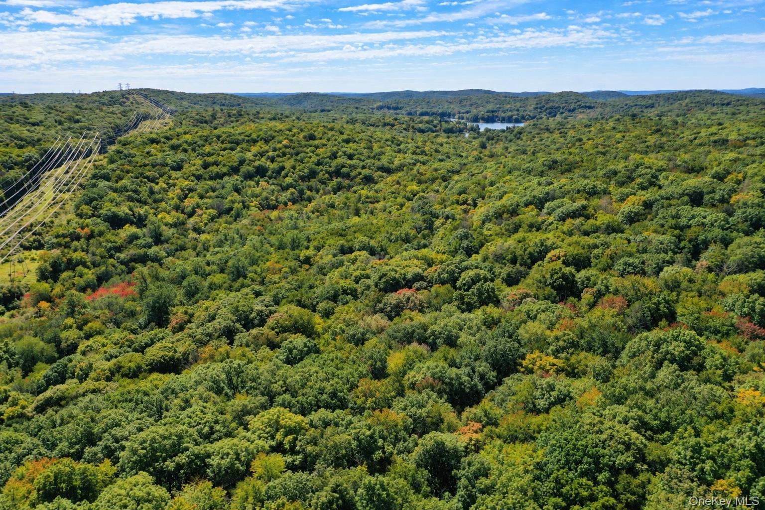 0 Richardsville Road – For Sale photo 8