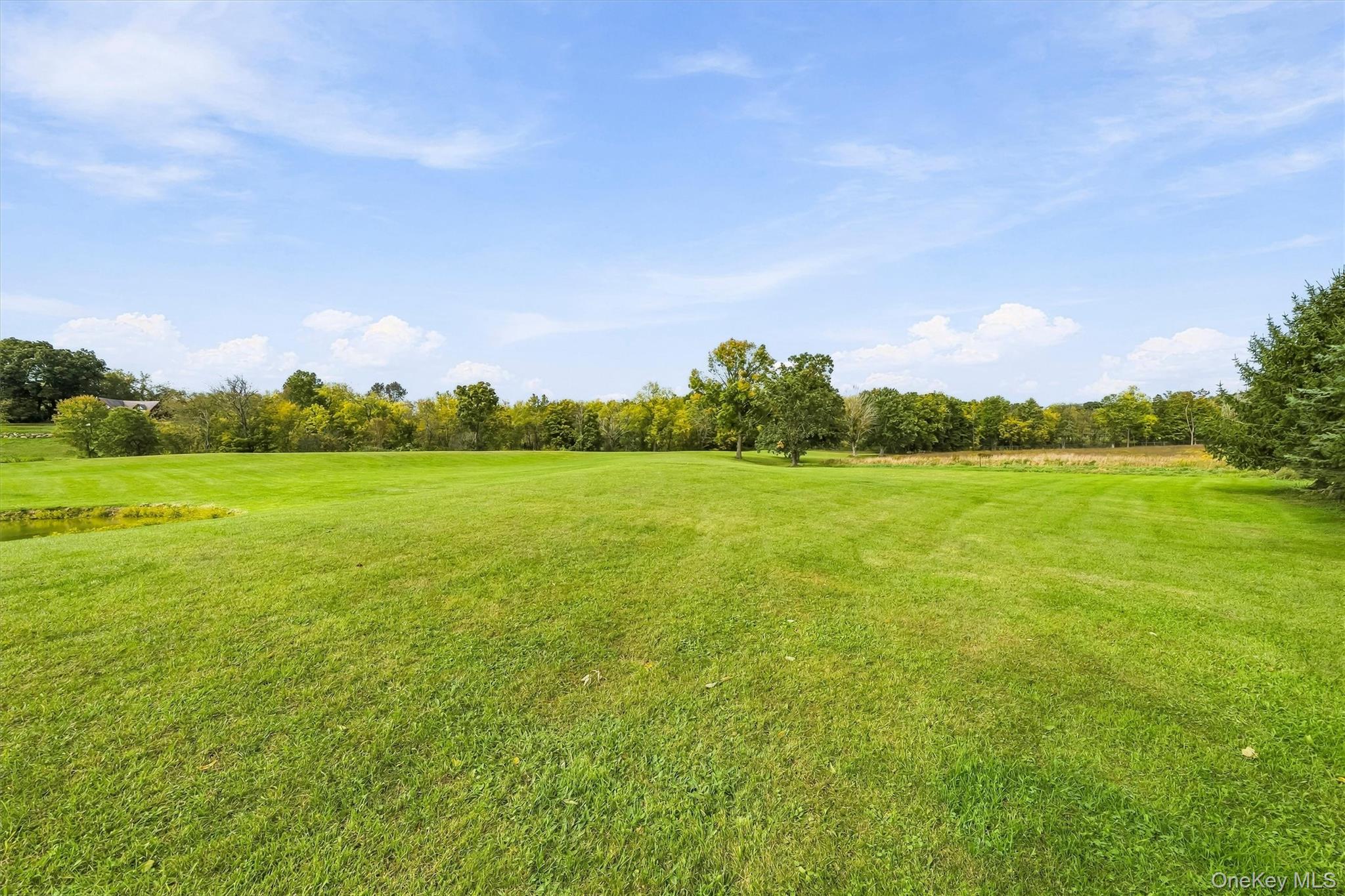 200 Mt Orange Road – For Sale photo 47