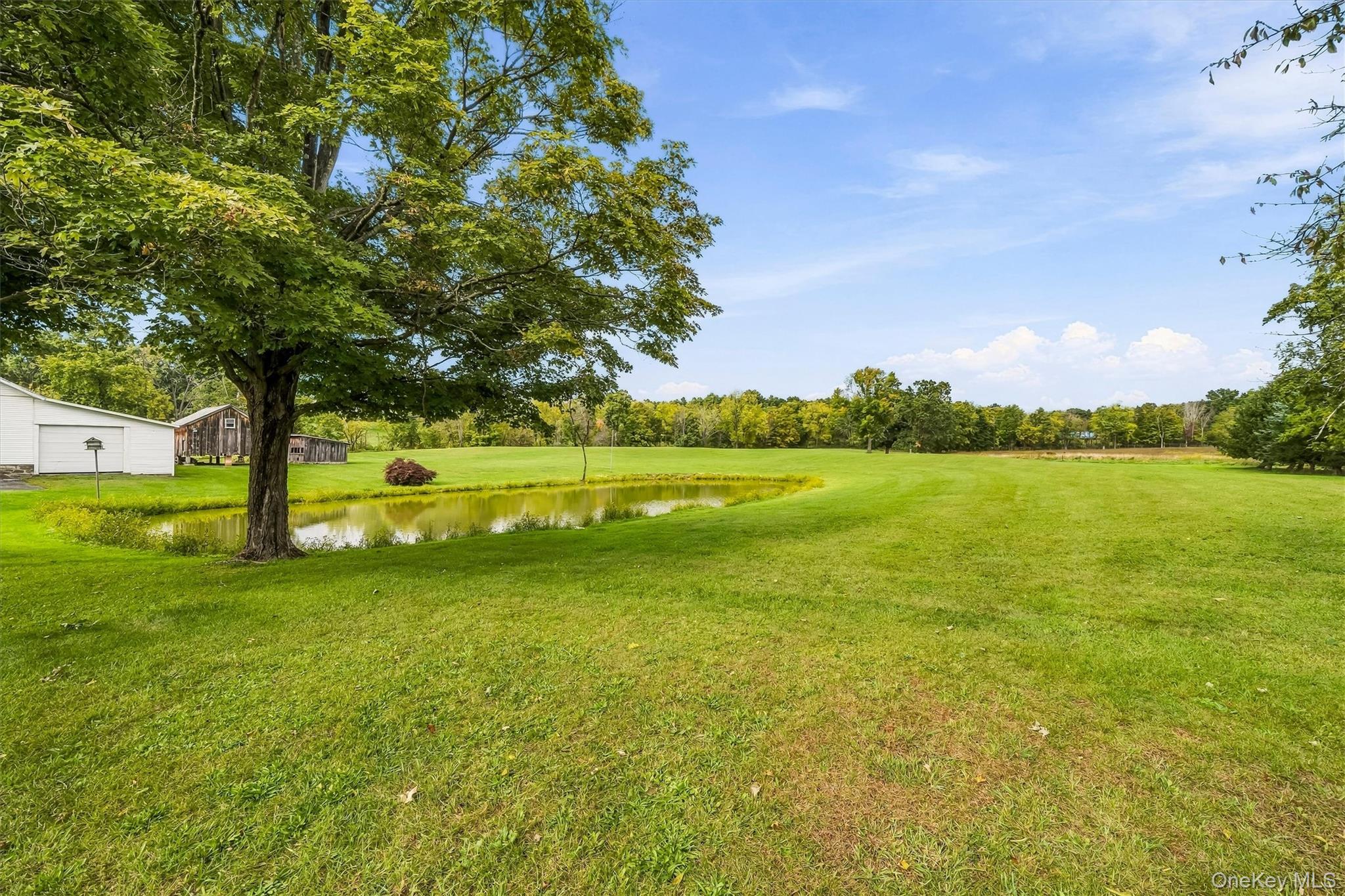 200 Mt Orange Road – For Sale photo 48