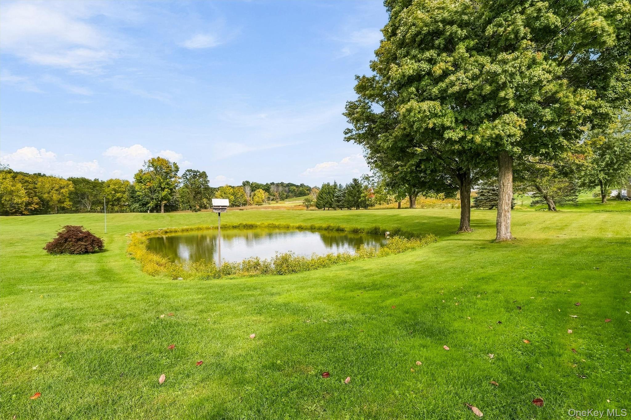 200 Mt Orange Road – For Sale photo 49