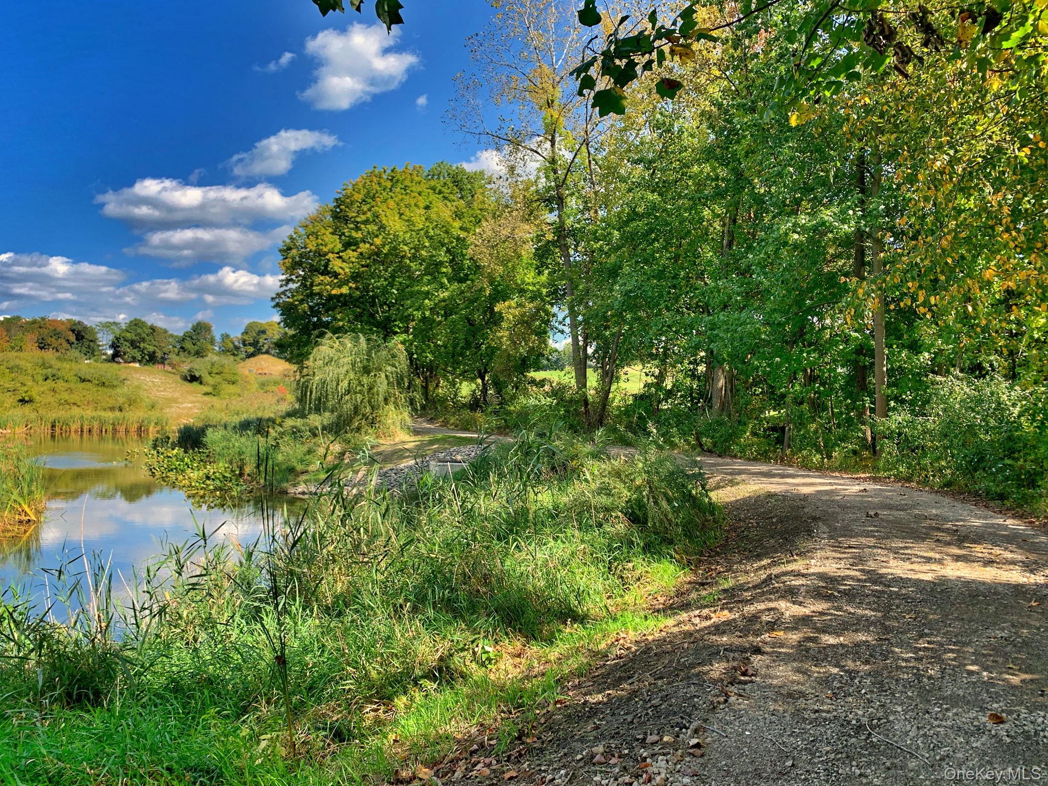15 Honeysuckle Lane – For Sale photo 47