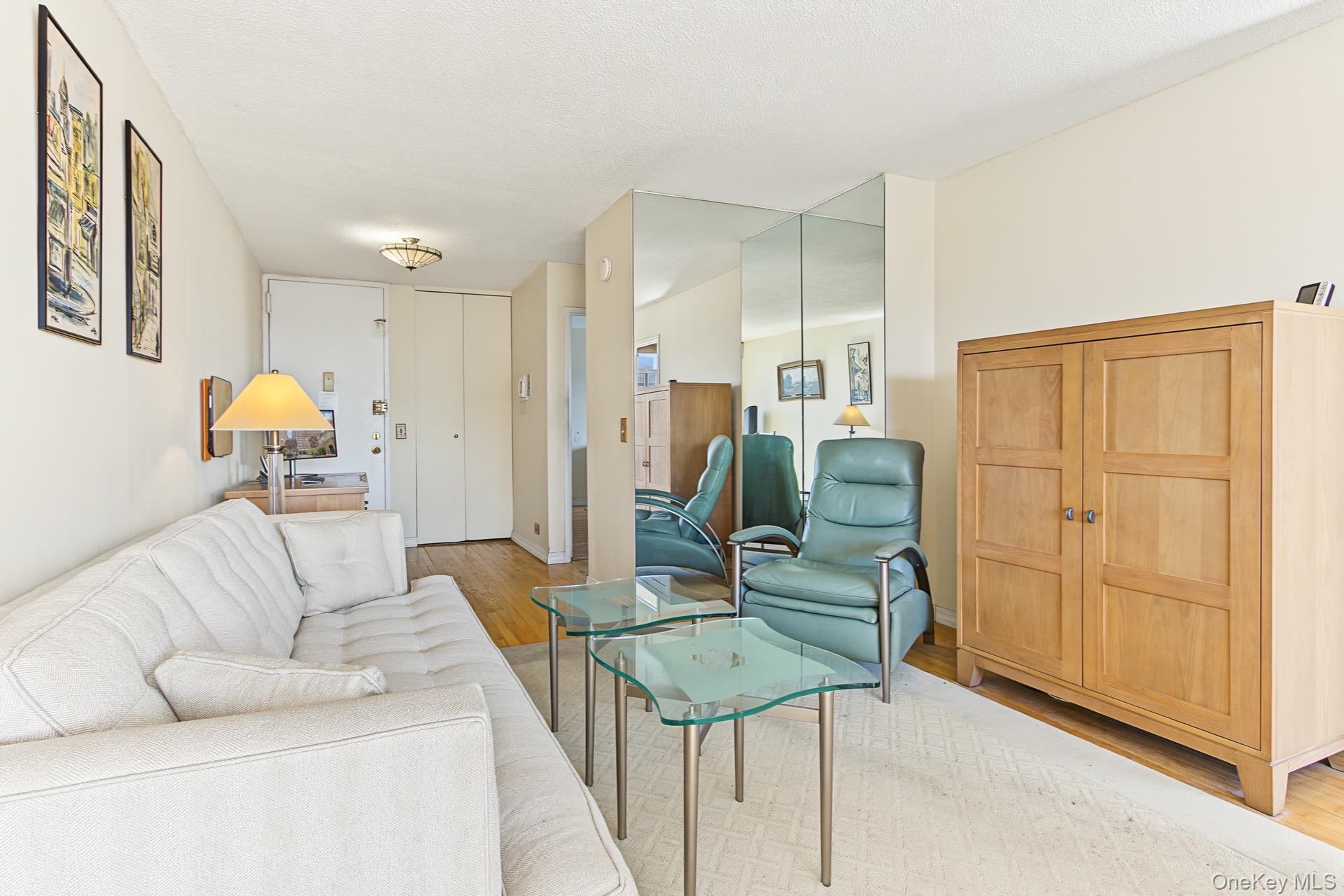 345 E 93rd Street, Unit 30C photo 7