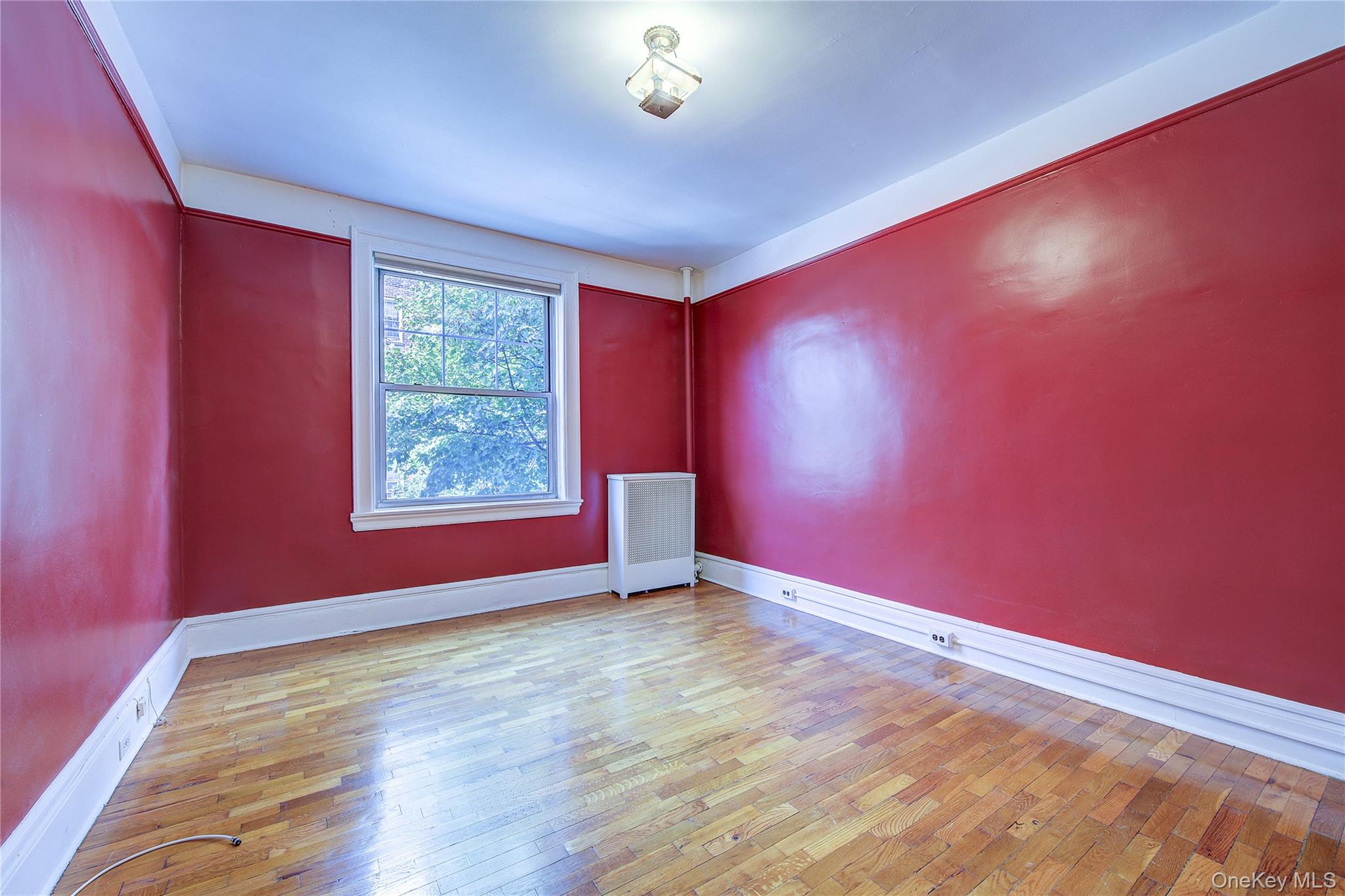 35-45 78th Street, Unit 22 photo 10
