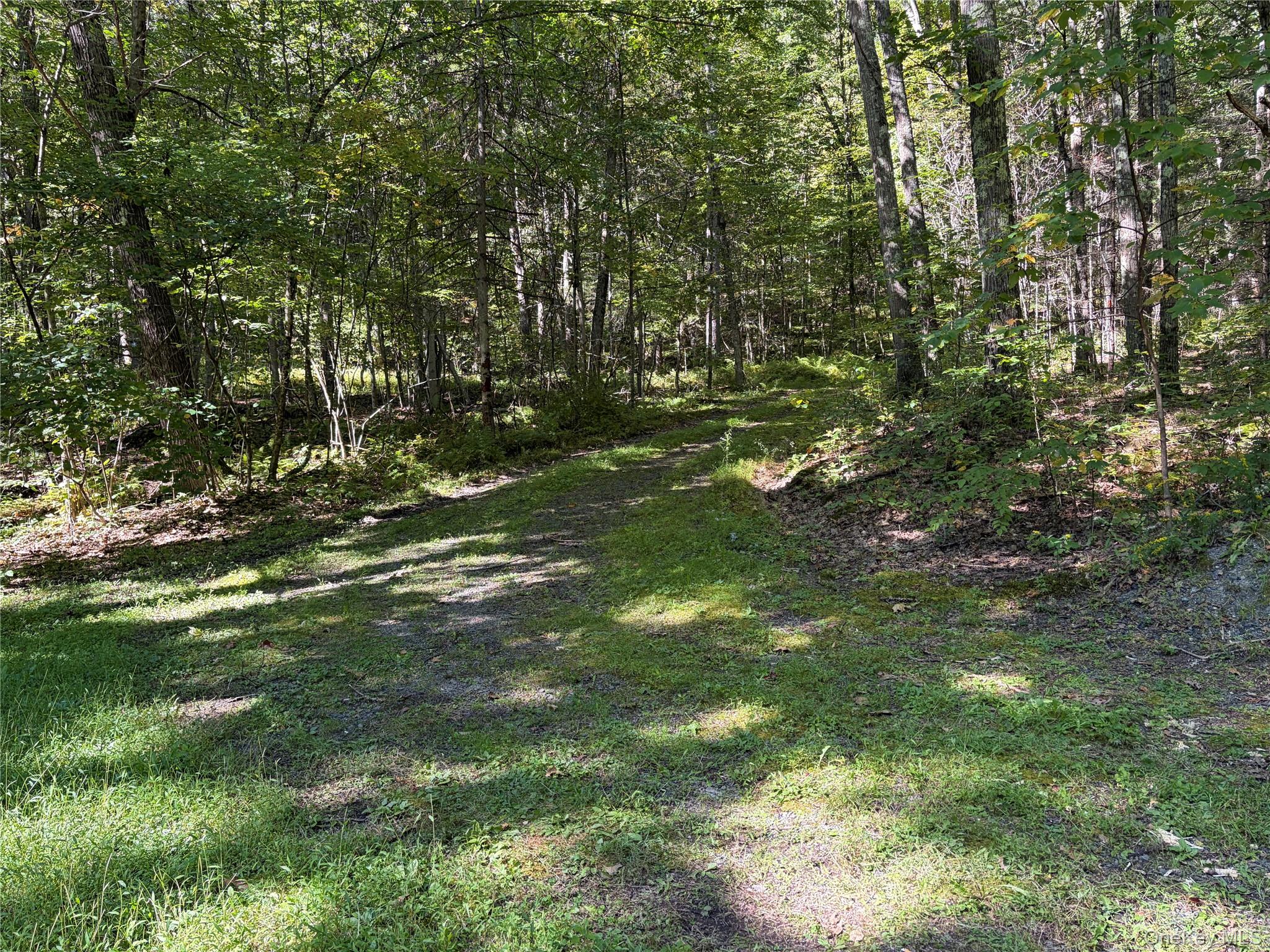 155 Acid Factory Road – For Sale photo 17