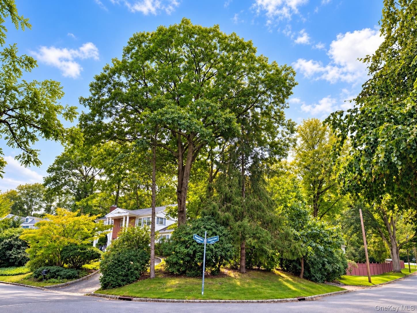39 Orchard Court – For Sale photo 5