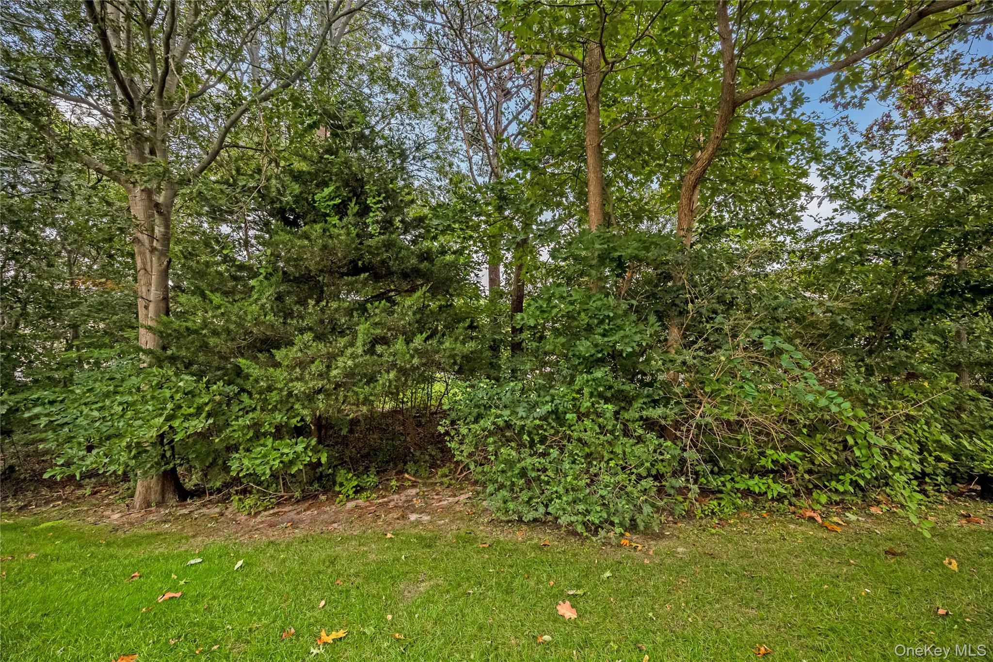 218 Kettles Lane – For Sale photo 34