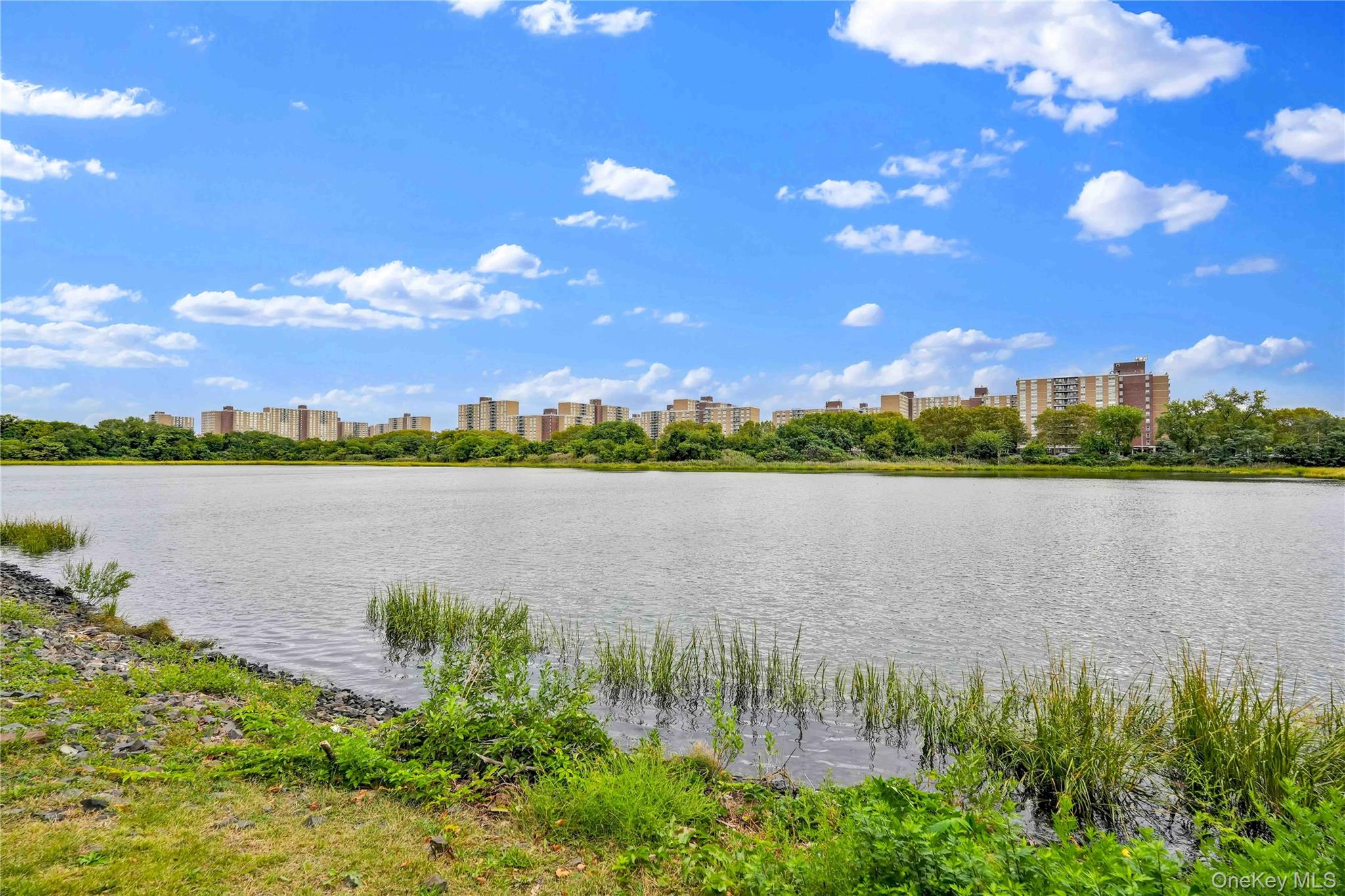 10810 Flatlands 9th Street, Unit 15E photo 30