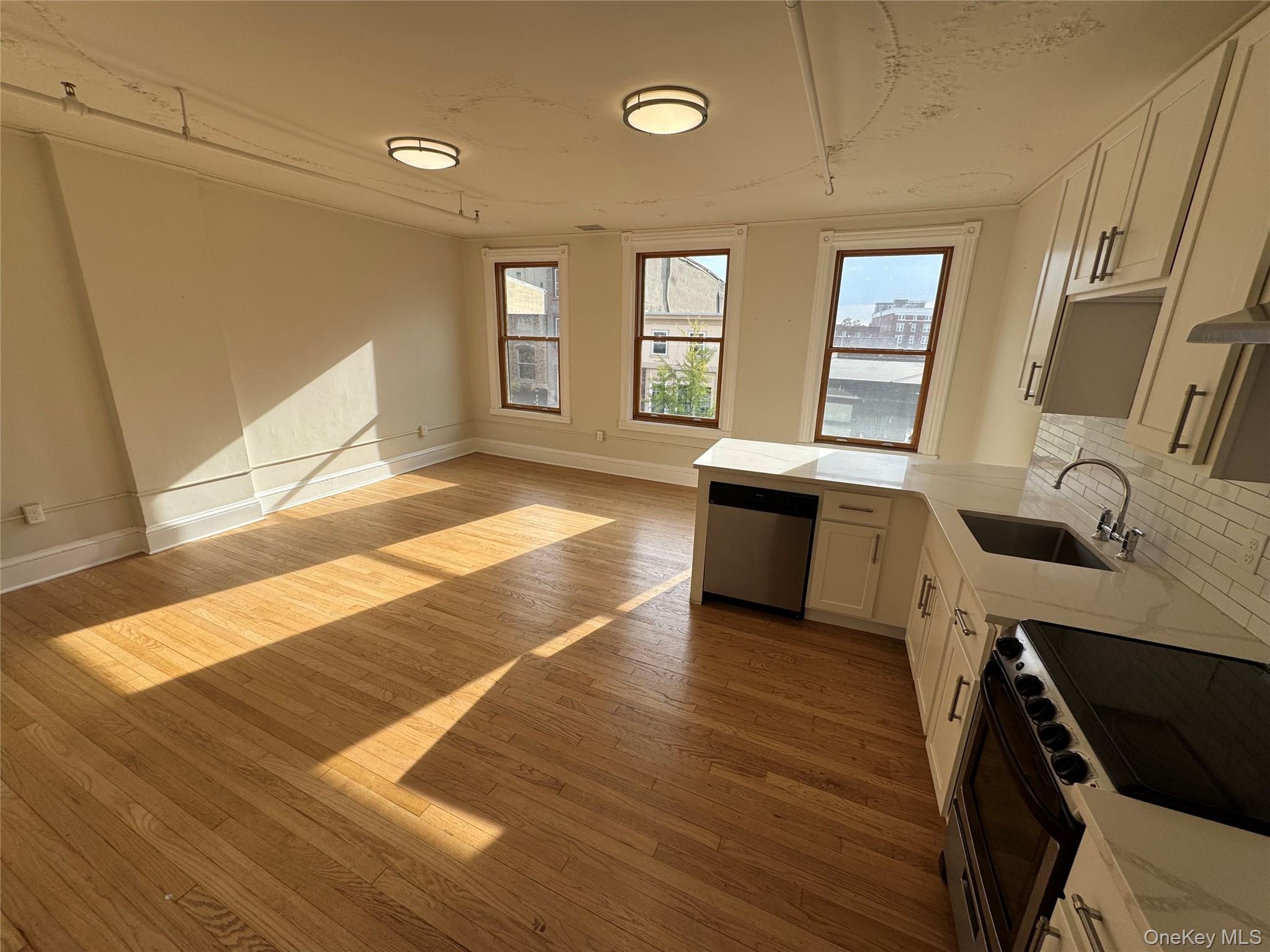 317 Main Street, Unit 301 photo 5