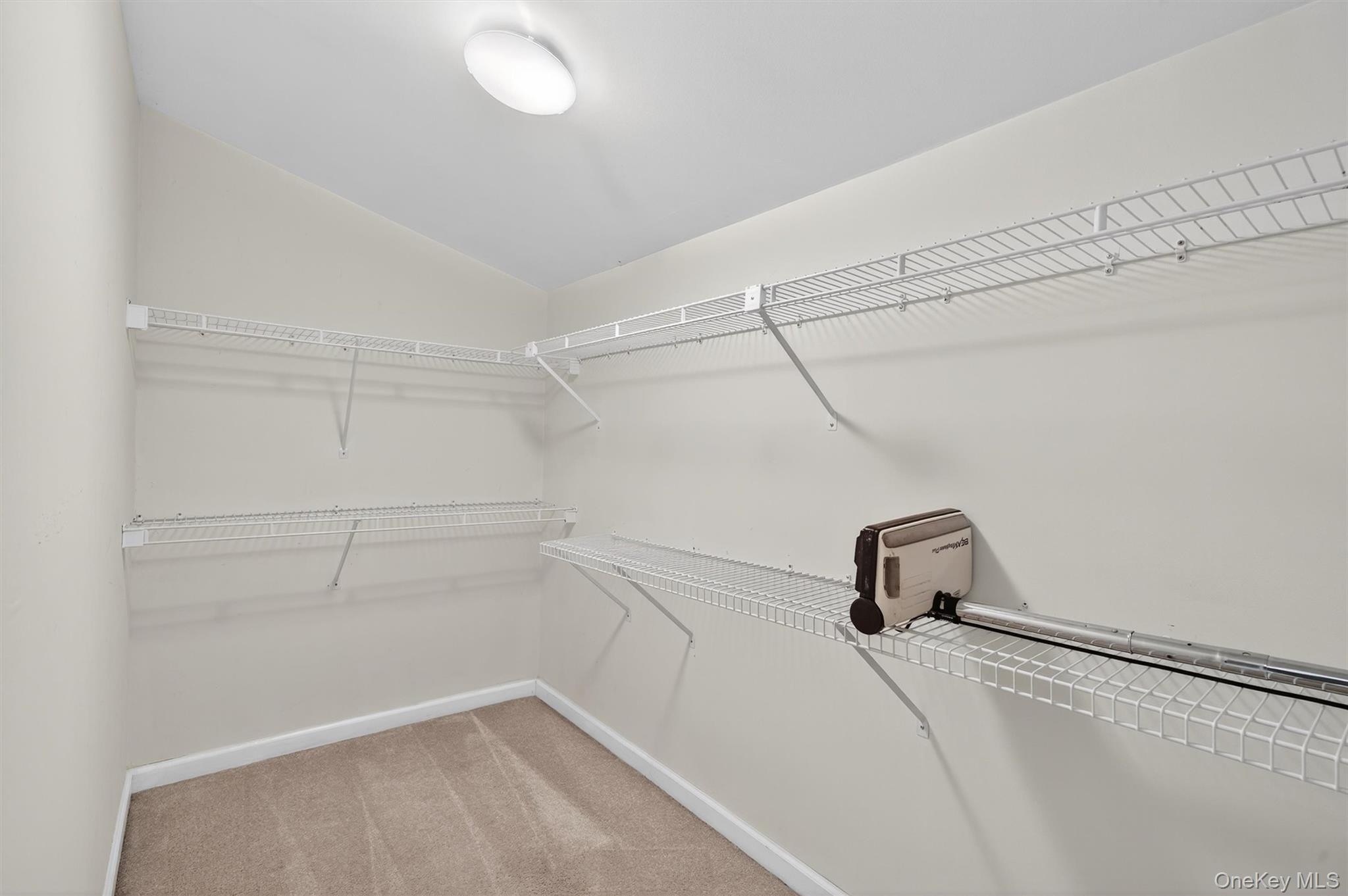 226 Eagleton Drive – For Rent photo 30