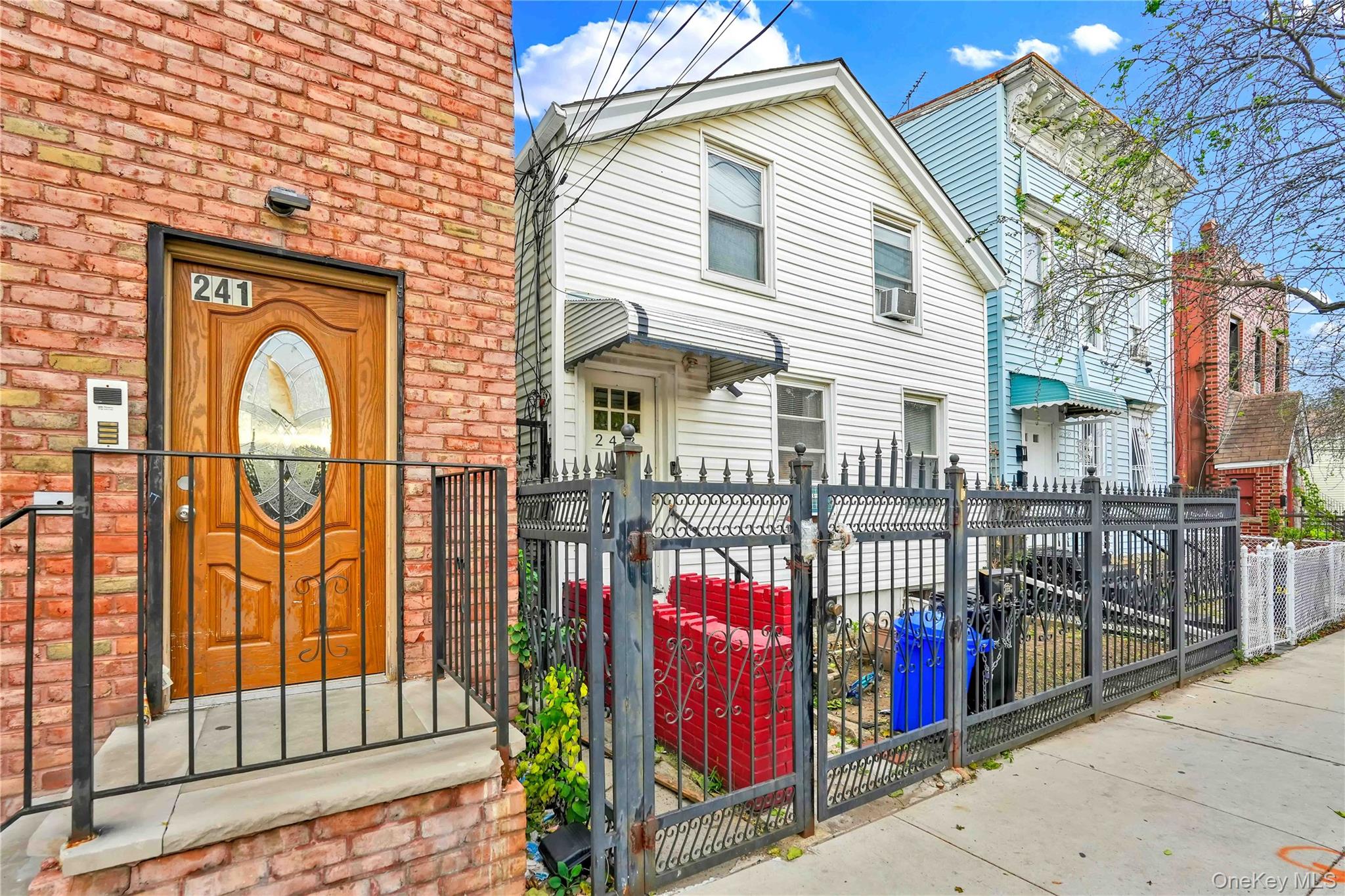 243 Schenck Avenue – For Sale photo 3