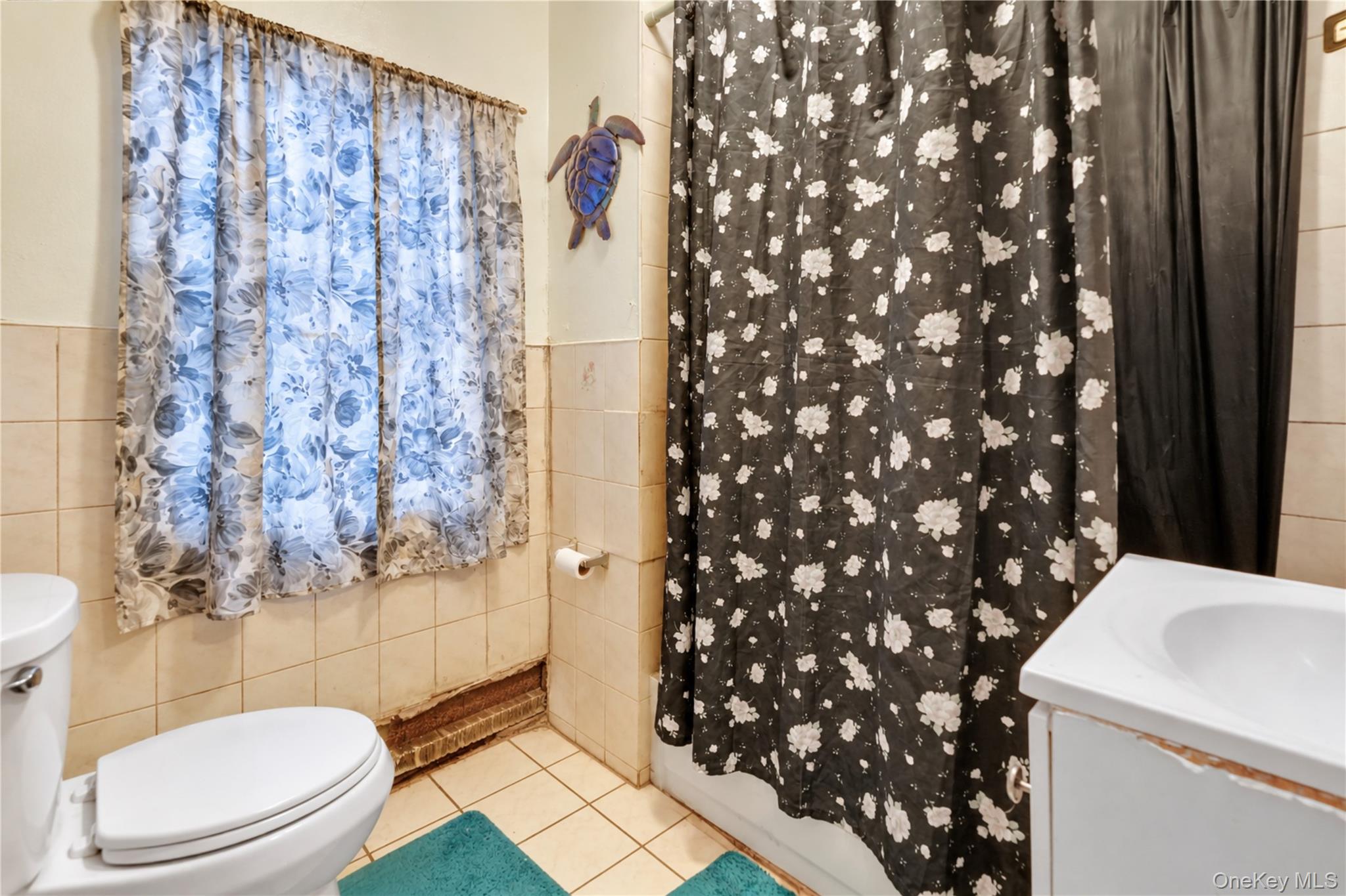 243 Schenck Avenue – For Sale photo 15