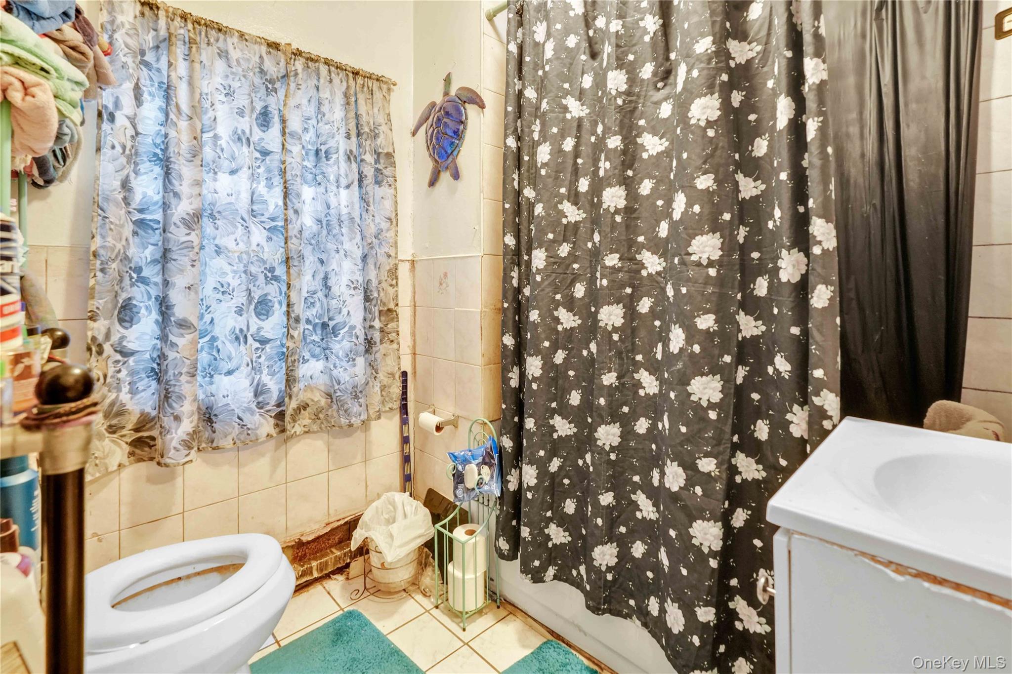 243 Schenck Avenue – For Sale photo 16