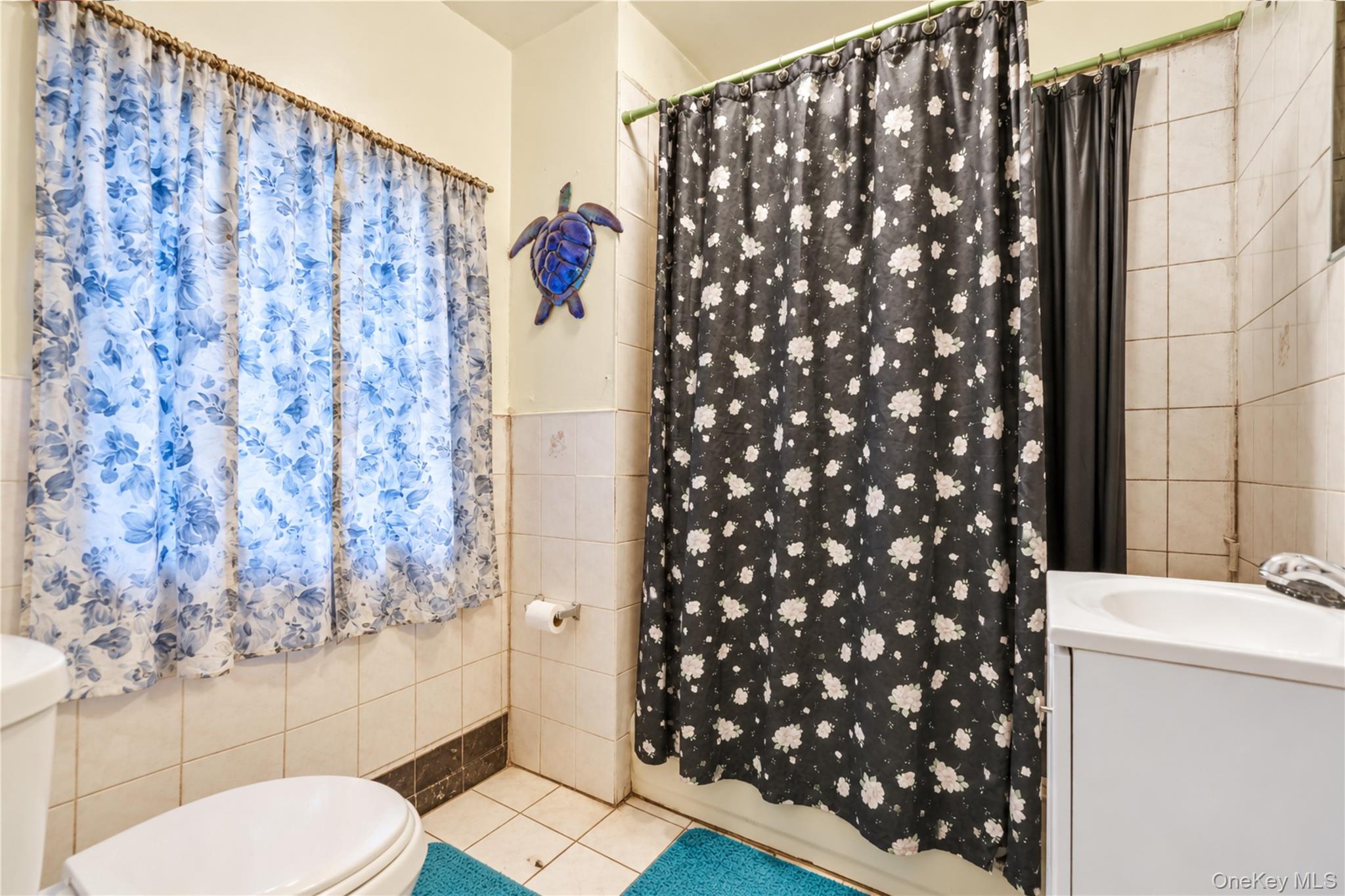 243 Schenck Avenue – For Sale photo 14