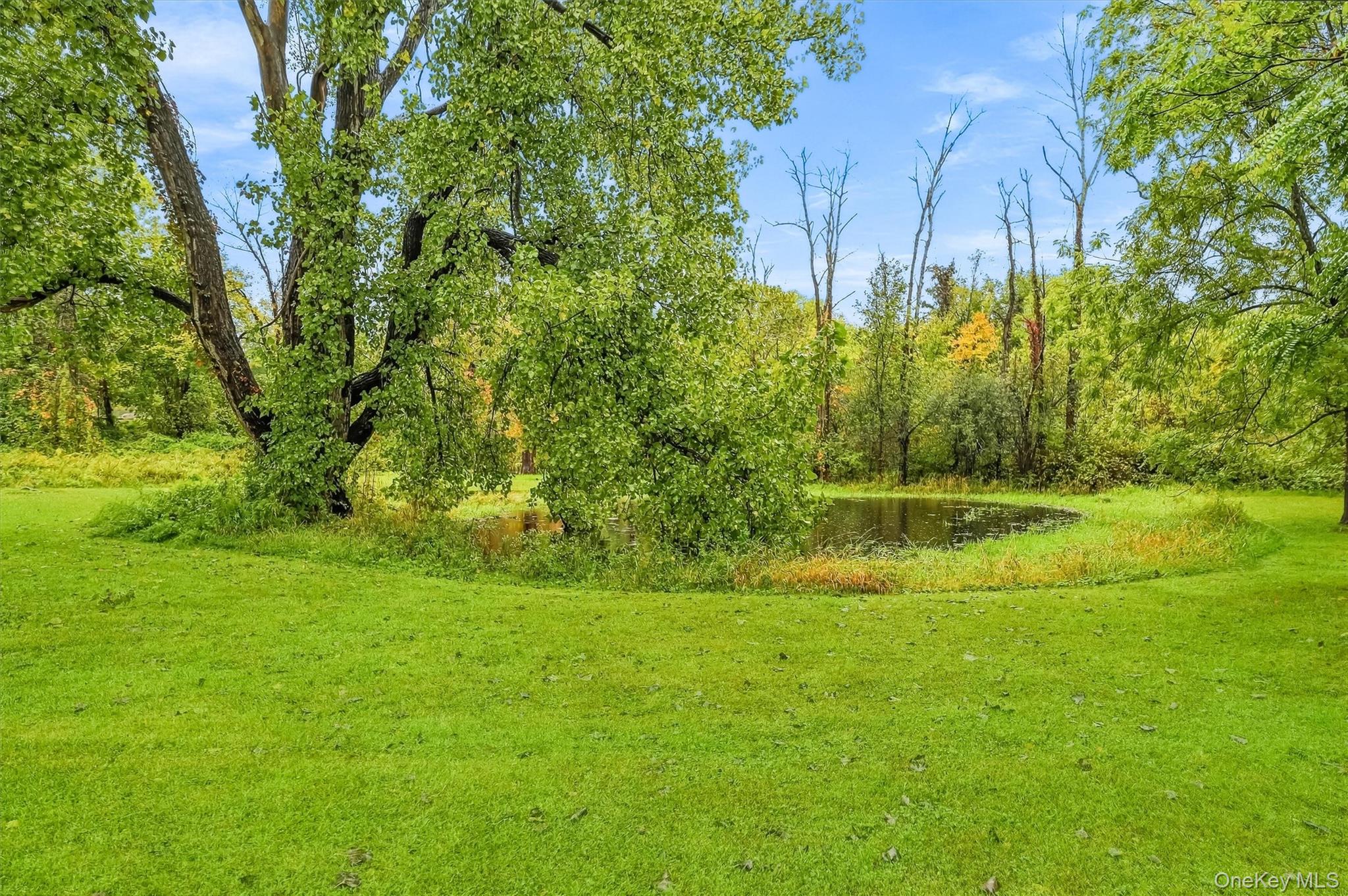 10 Barrett Drive – For Sale photo 48