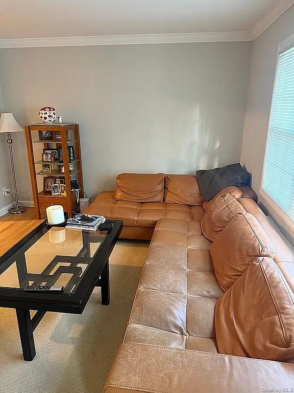 584 8th Street – For Sale photo 4
