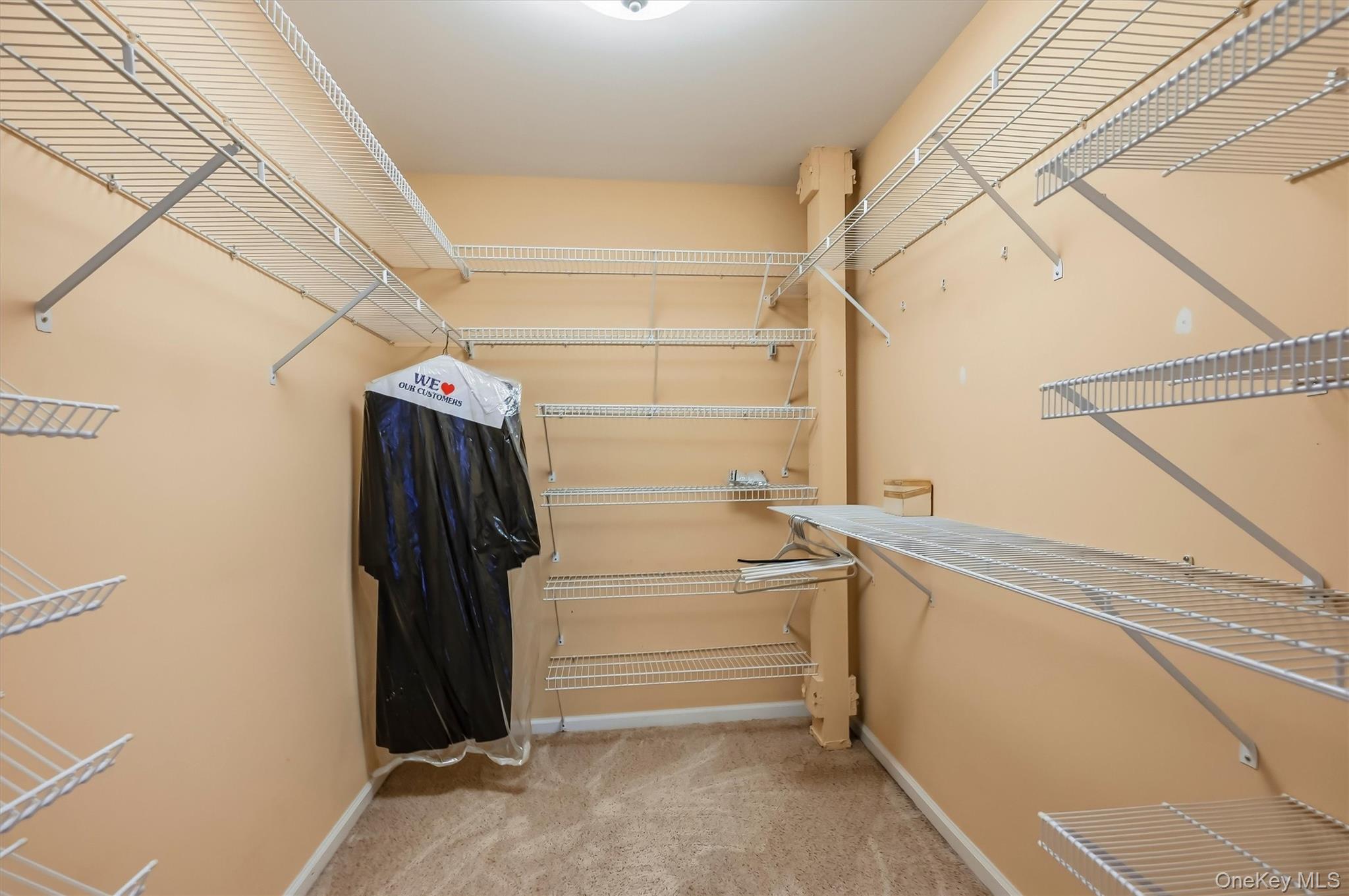 49 Gair Street, Unit 49 photo 28