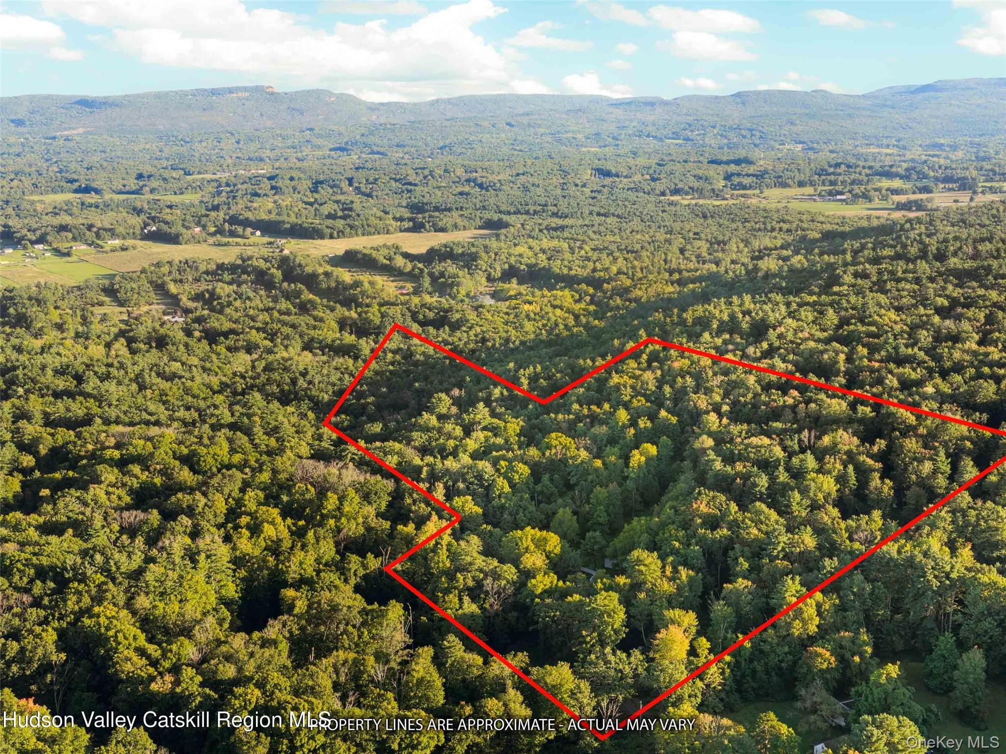 403 County Route 2 – For Sale photo 27