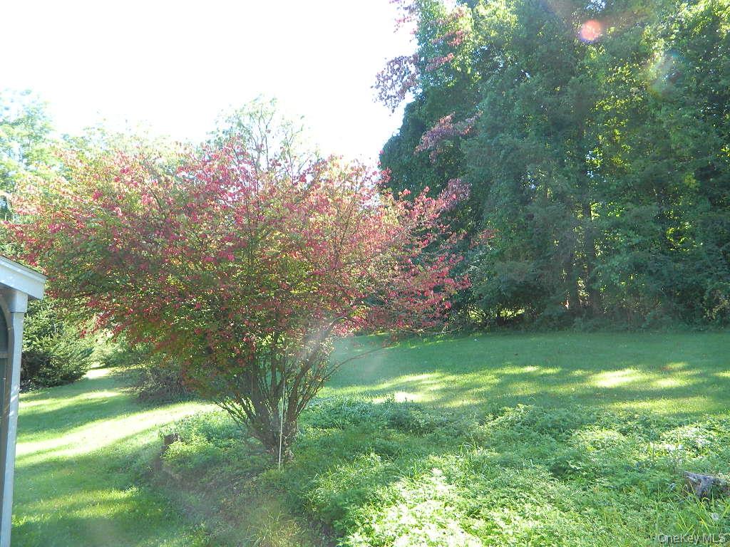 107 Orchard Lane – For Sale photo 37