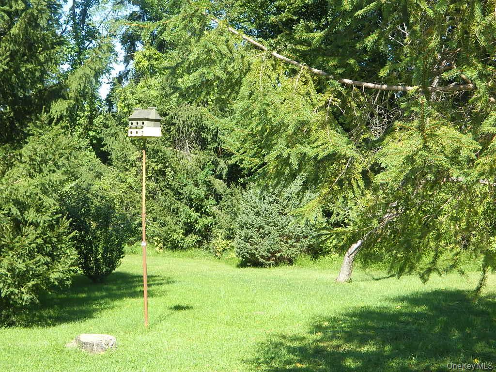 107 Orchard Lane – For Sale photo 26