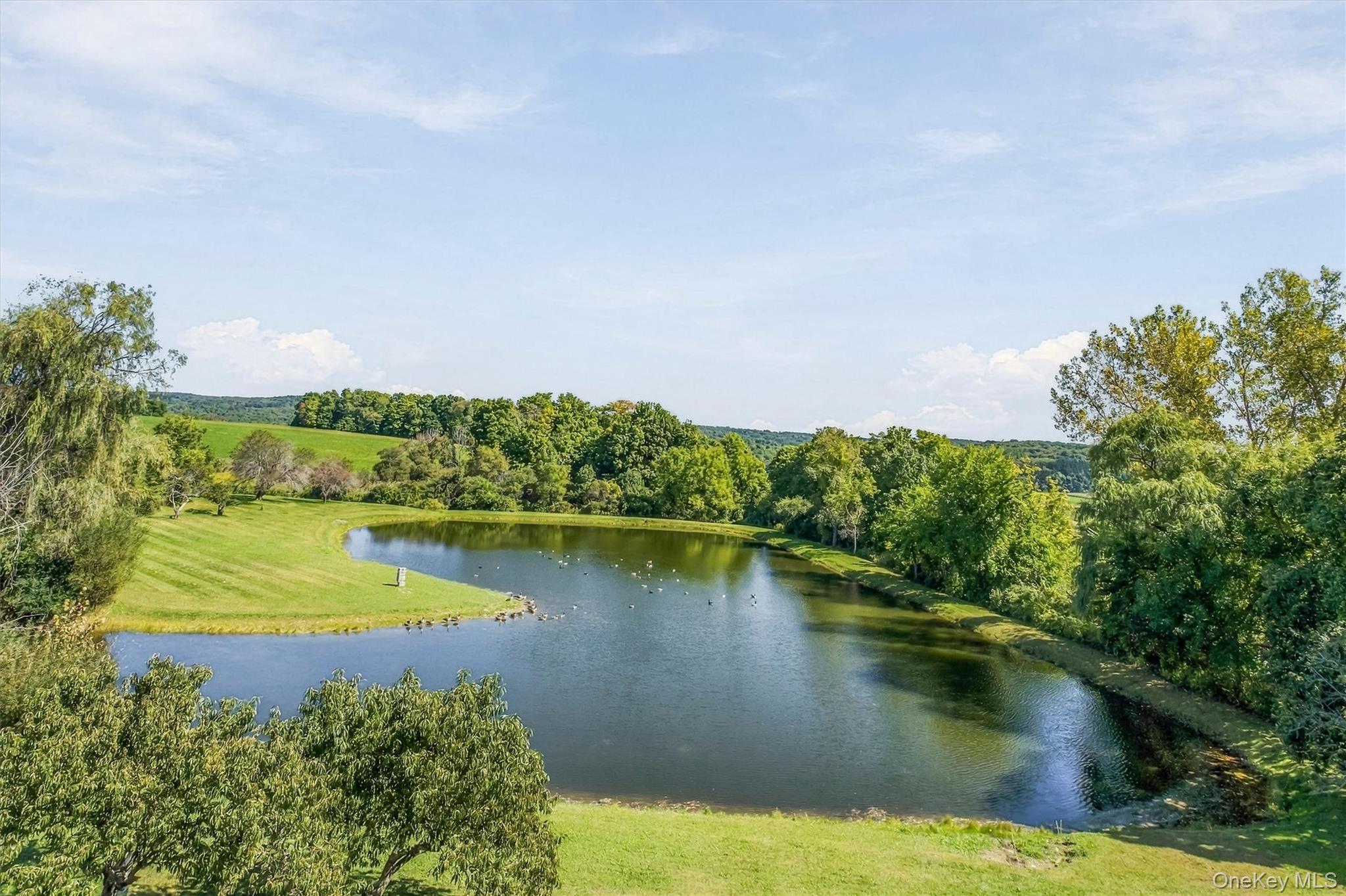 3534 Route 82 – For Sale photo 33
