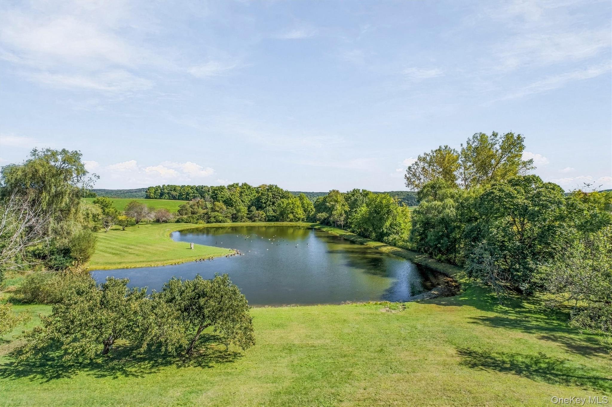 3534 Route 82 – For Sale photo 3