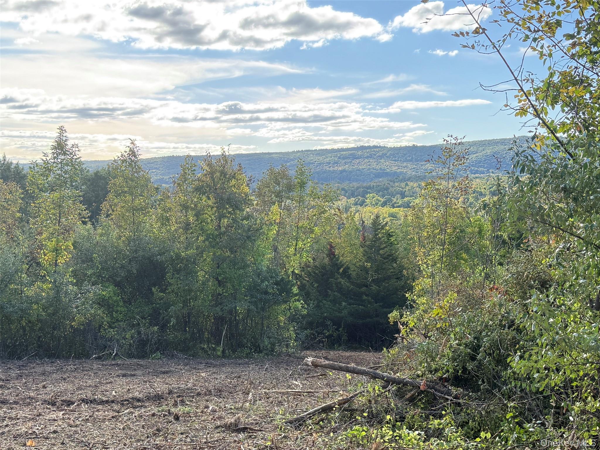 Lot # 11 Westerly Ridge Drive – For Sale photo 8
