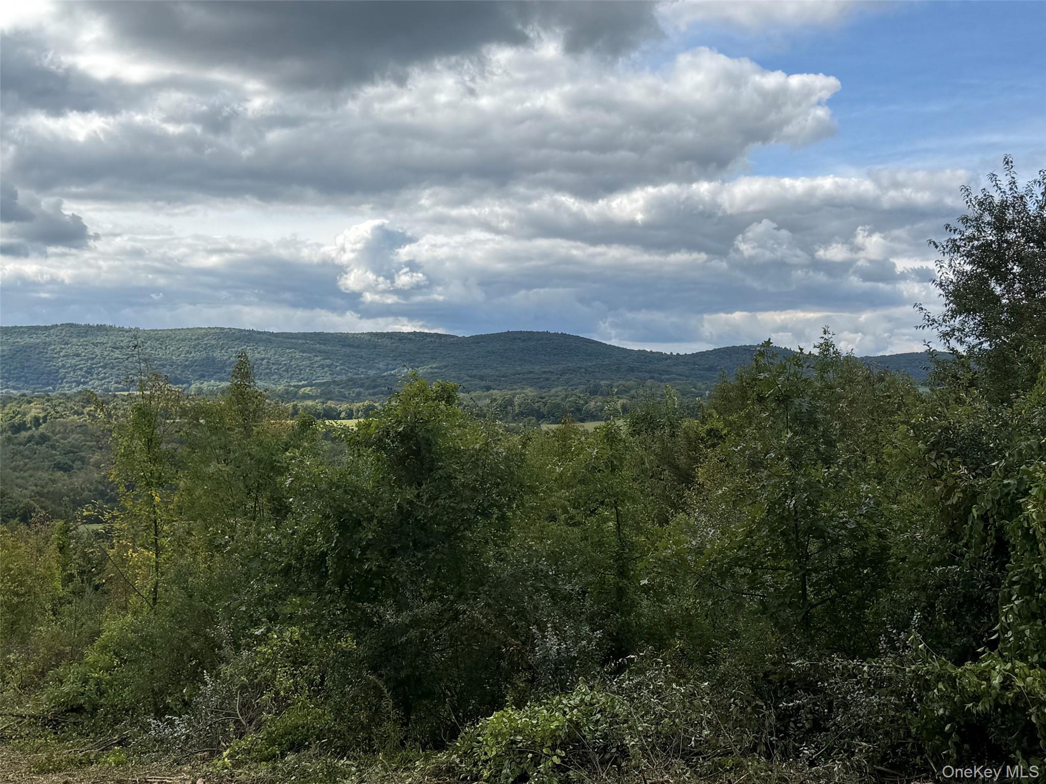 Lot # 11 Westerly Ridge Drive – For Sale photo 2