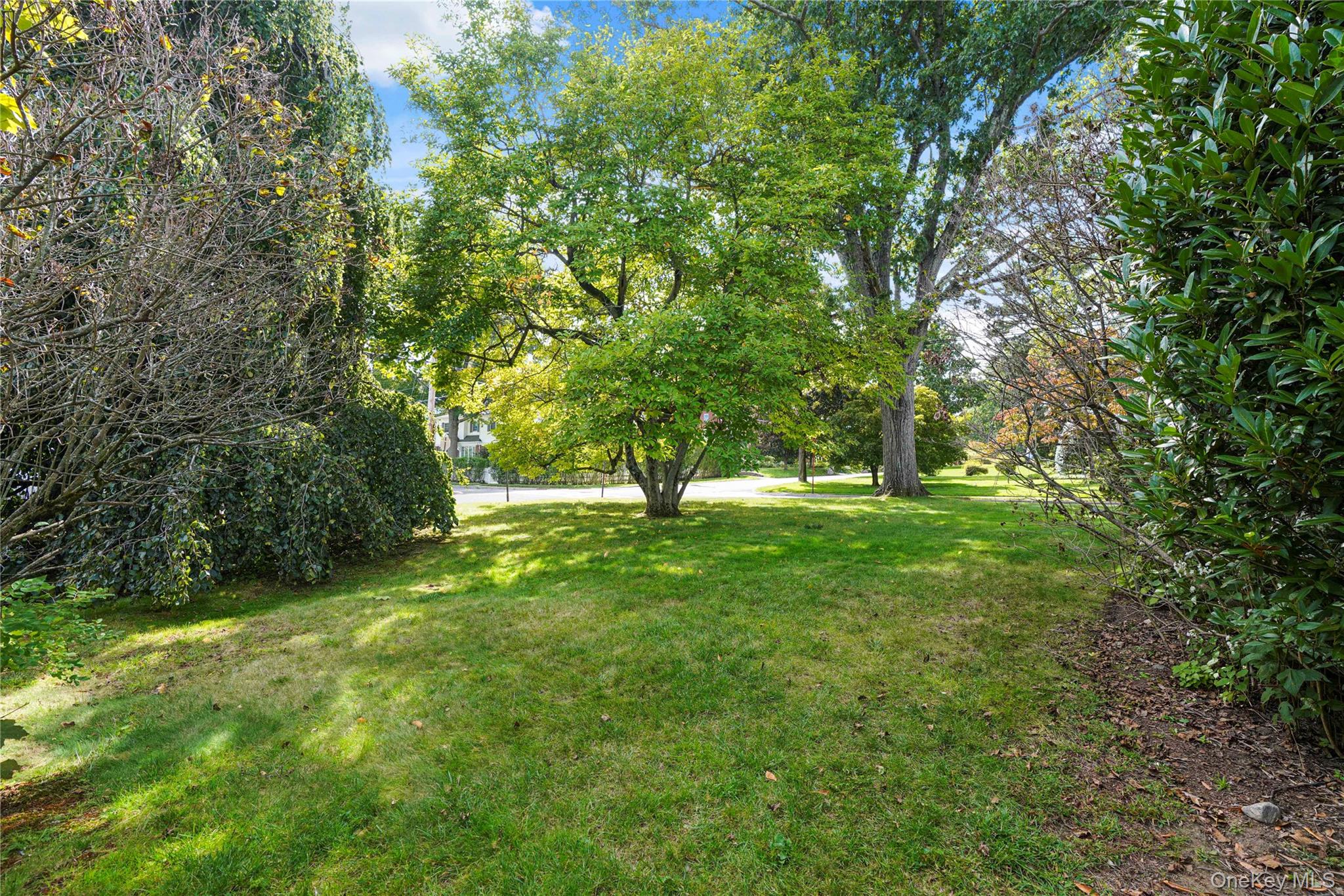 127 Ralph Avenue – For Sale photo 33