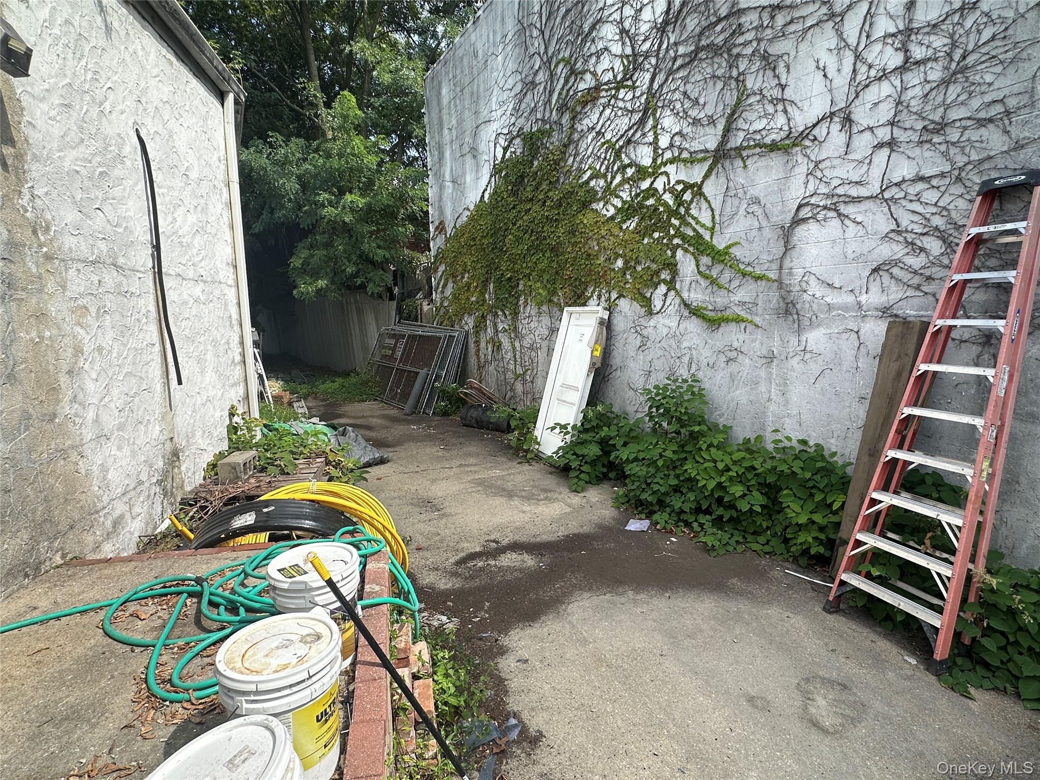 725 Brooklyn Avenue – For Rent photo 13
