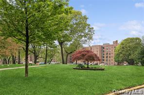 213-02 73rd Avenue, Unit 4D photo 20