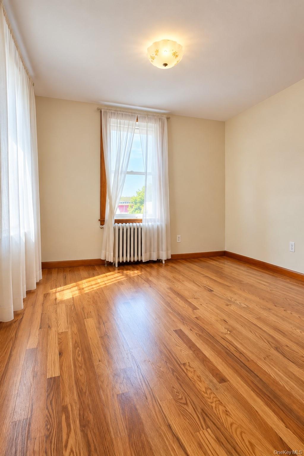 12 Balfour Street, Unit 1 photo 8