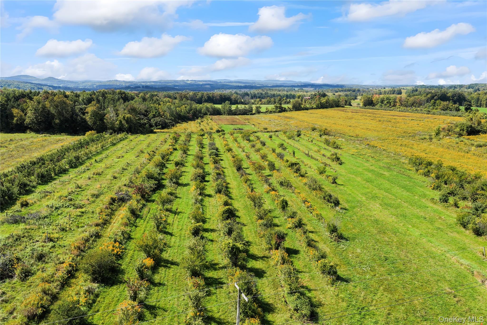 359 Cemetery Rd – For Sale photo 33