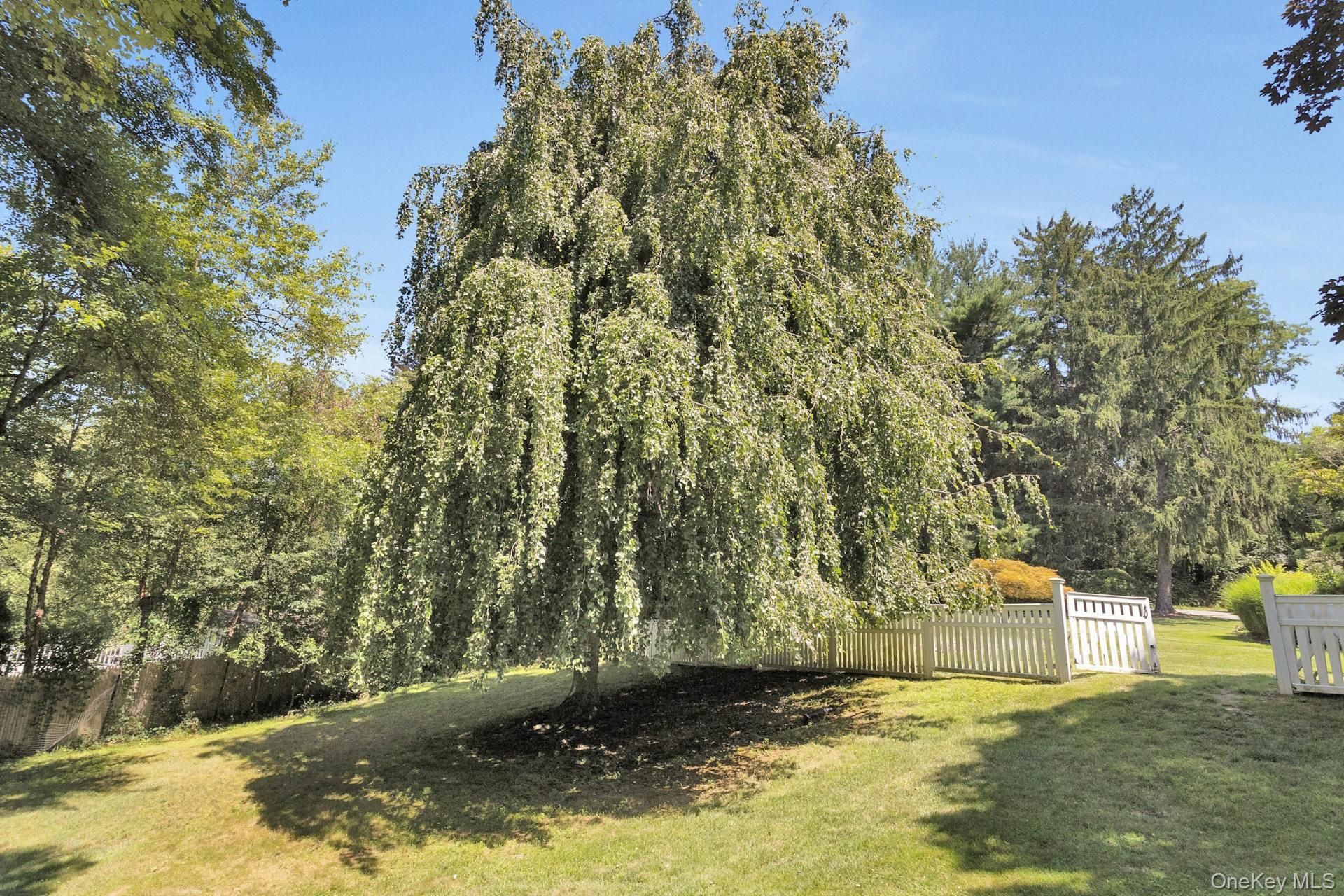 13 Sniffen Road – For Sale photo 36